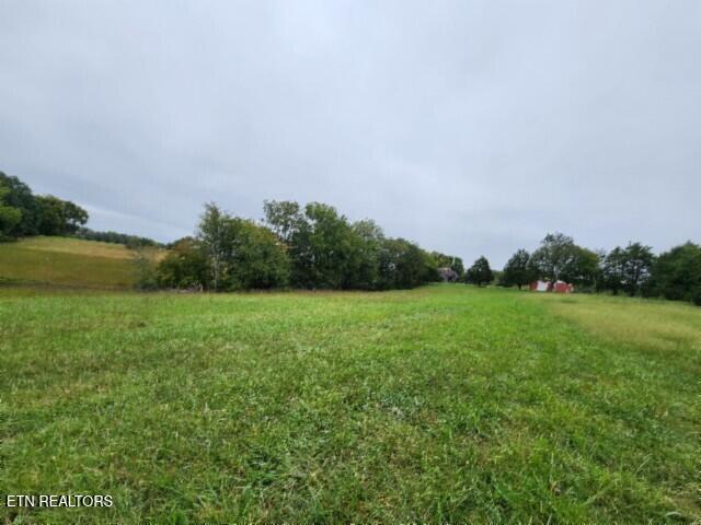 Lot 6 Clay County Hwy Property Photo 24