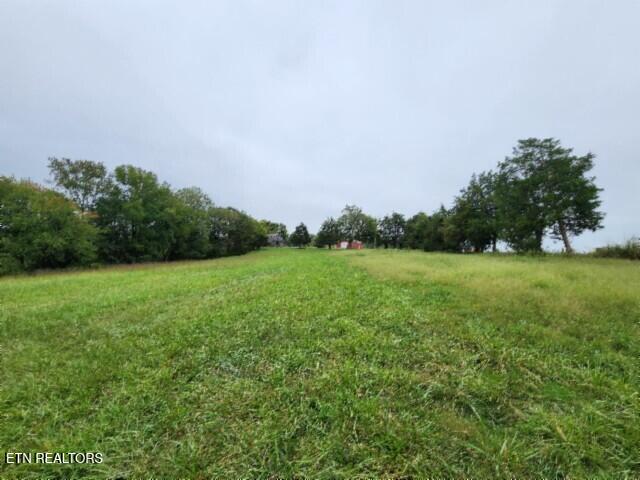 Lot 6 Clay County Hwy Property Photo 25