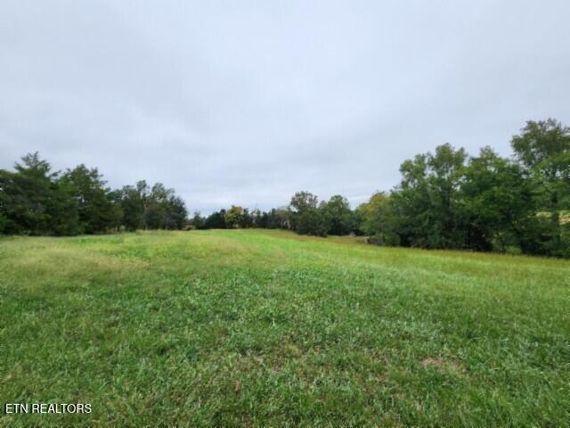 Lot 6 Clay County Hwy Property Photo 26