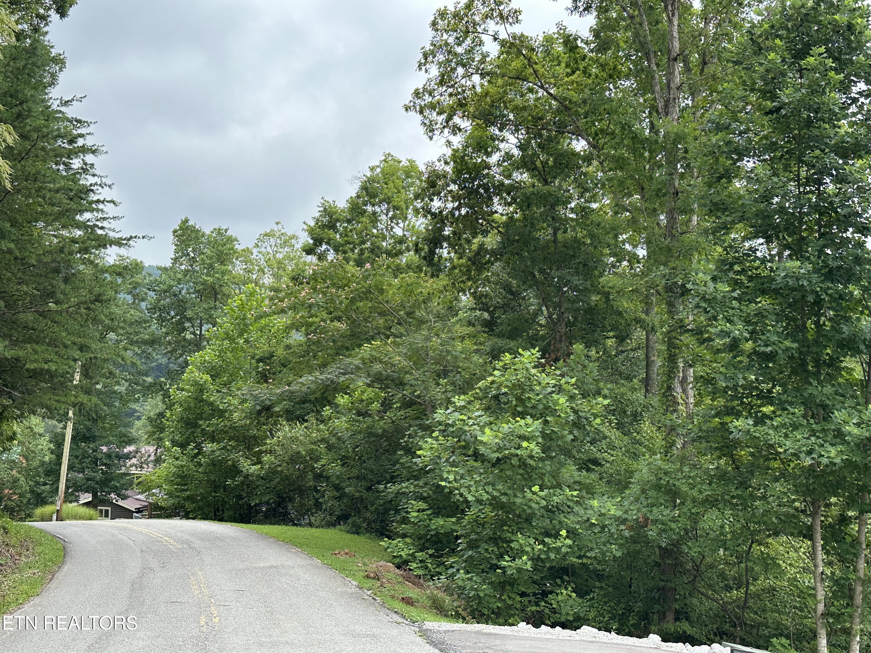 Lot 21 Ridge Rd Property Photo 2