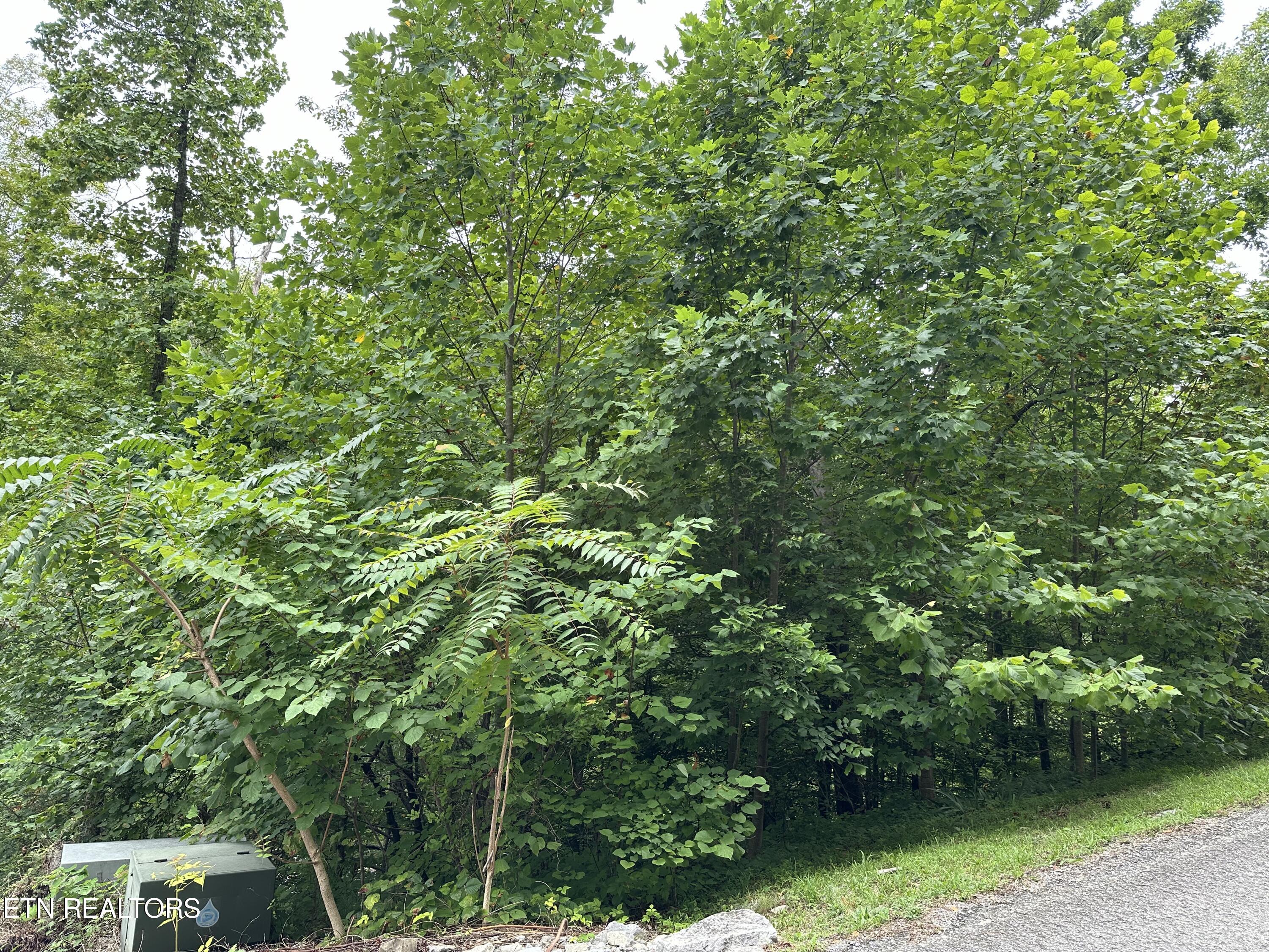 Lot 21 Ridge Rd Property Photo 3