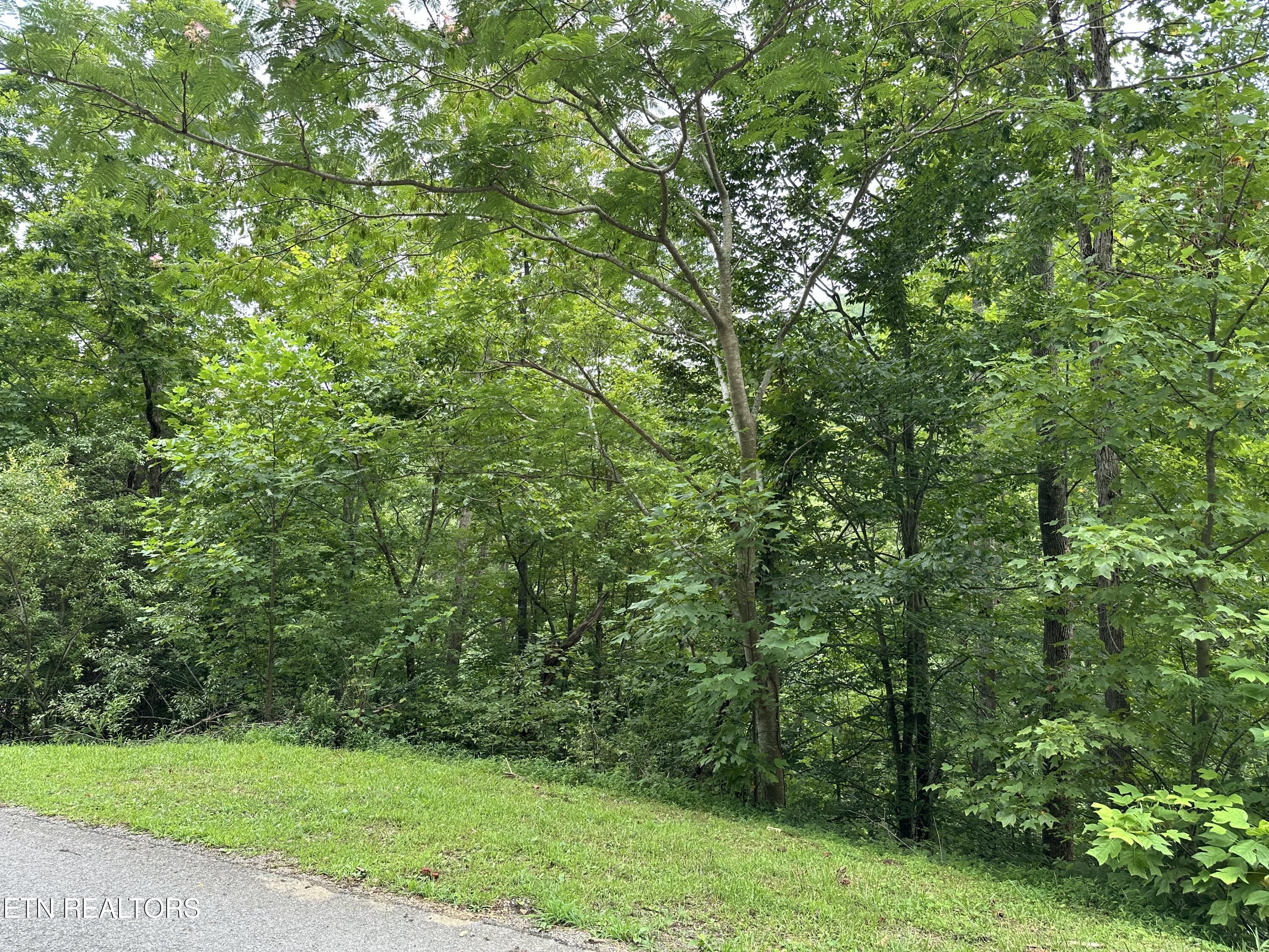 Lot 21 Ridge Rd Property Photo 5