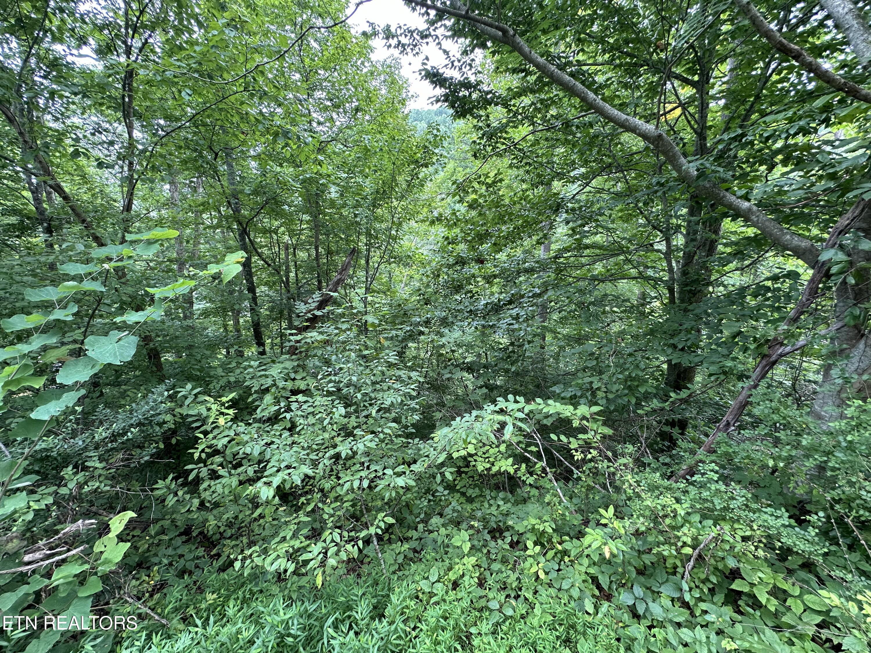 Lot 21 Ridge Rd Property Photo 6