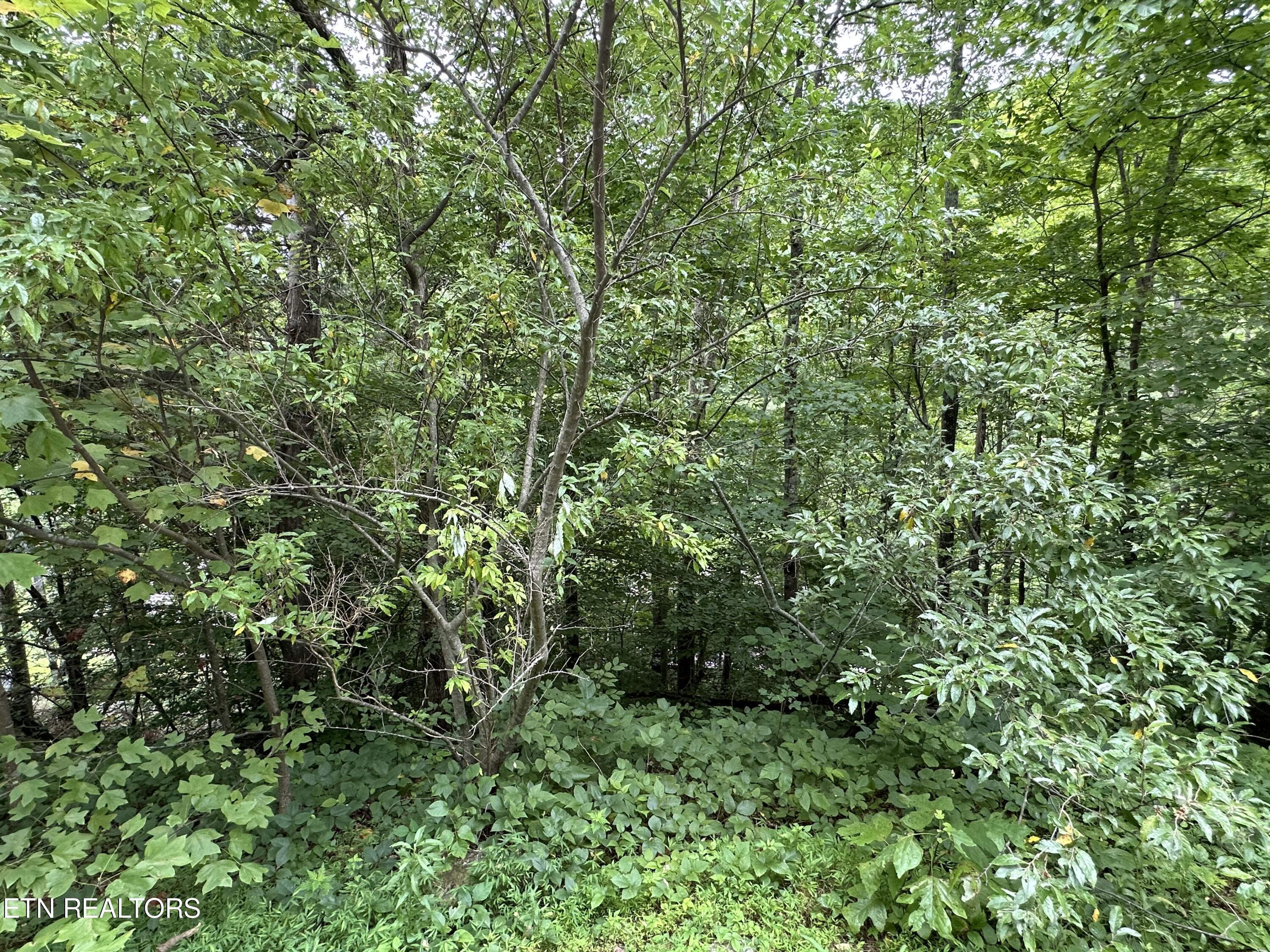 Lot 21 Ridge Rd Property Photo 8