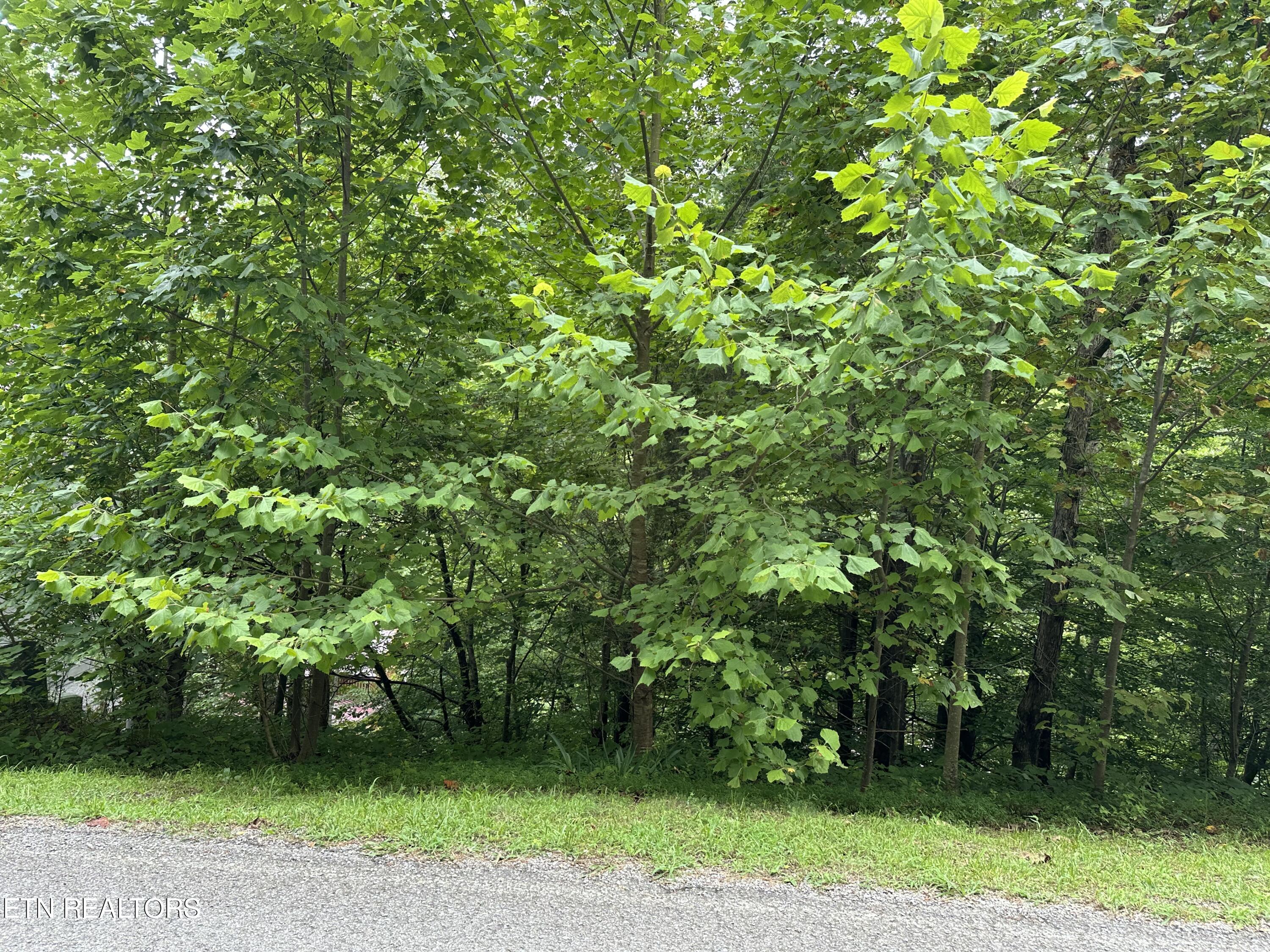 Lot 22 Ridge Rd Property Photo 3