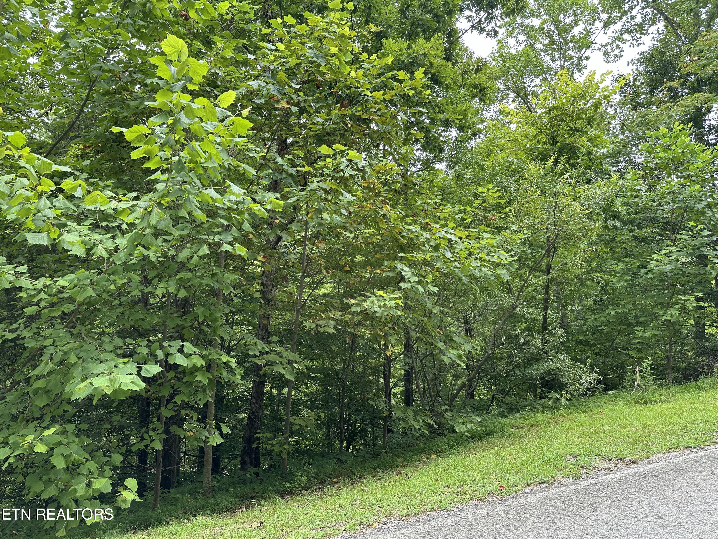 Lot 22 Ridge Rd Property Photo 4