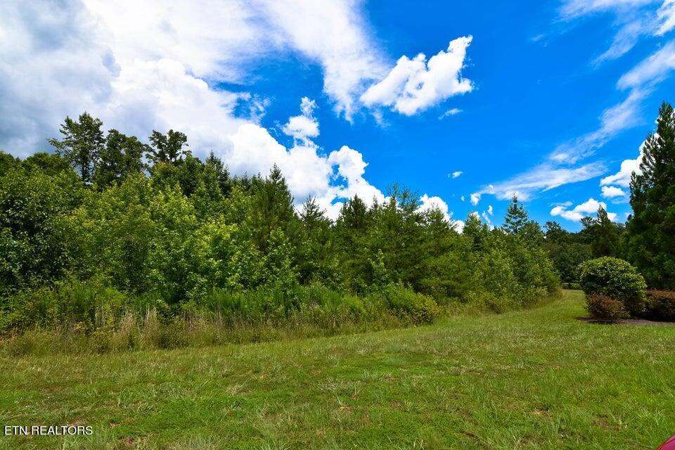 300 Caney View Drive Property Photo 2