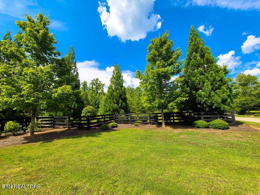 300 Caney View Drive Property Photo 3