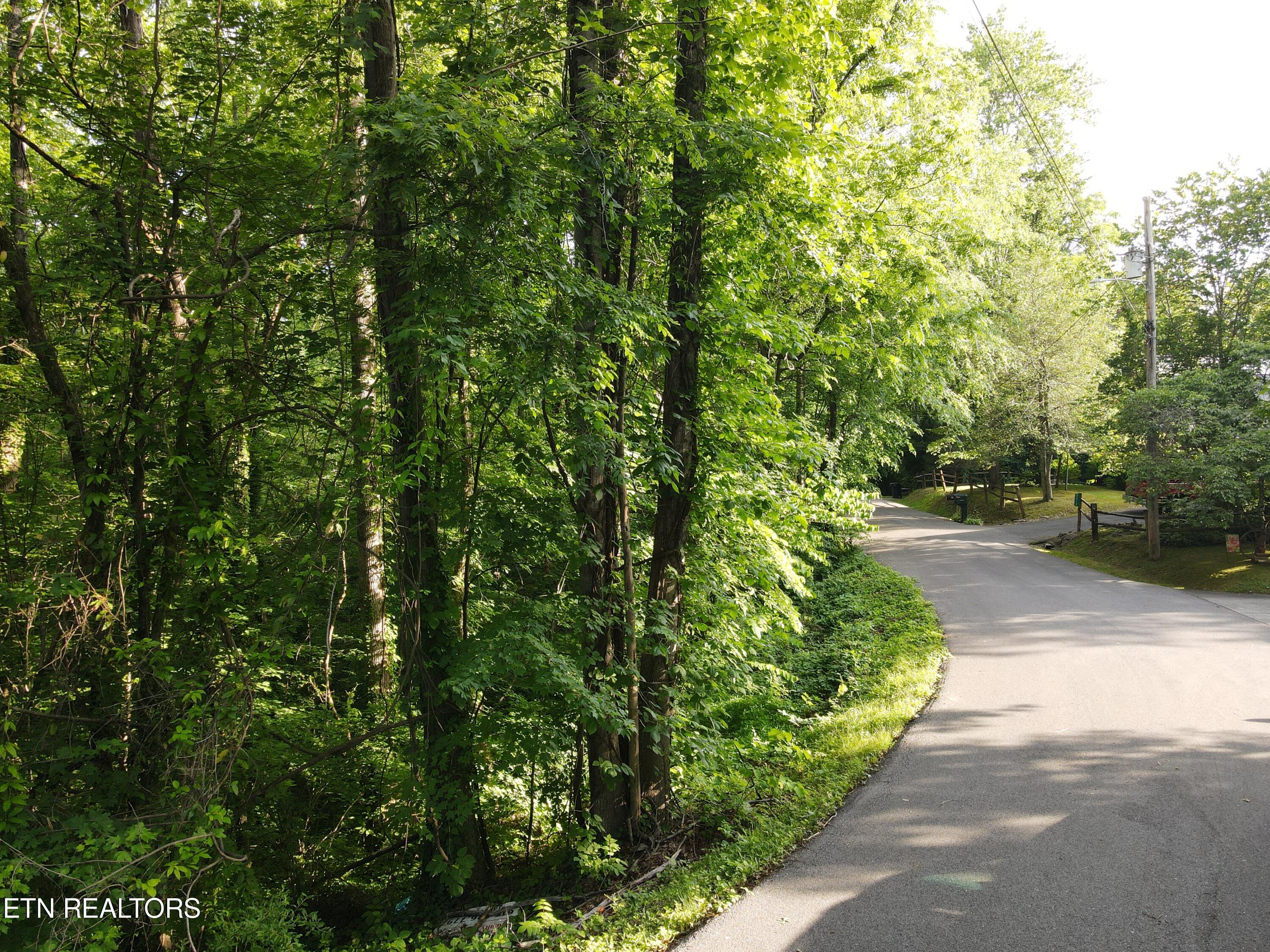 Pine Drive Property Photo