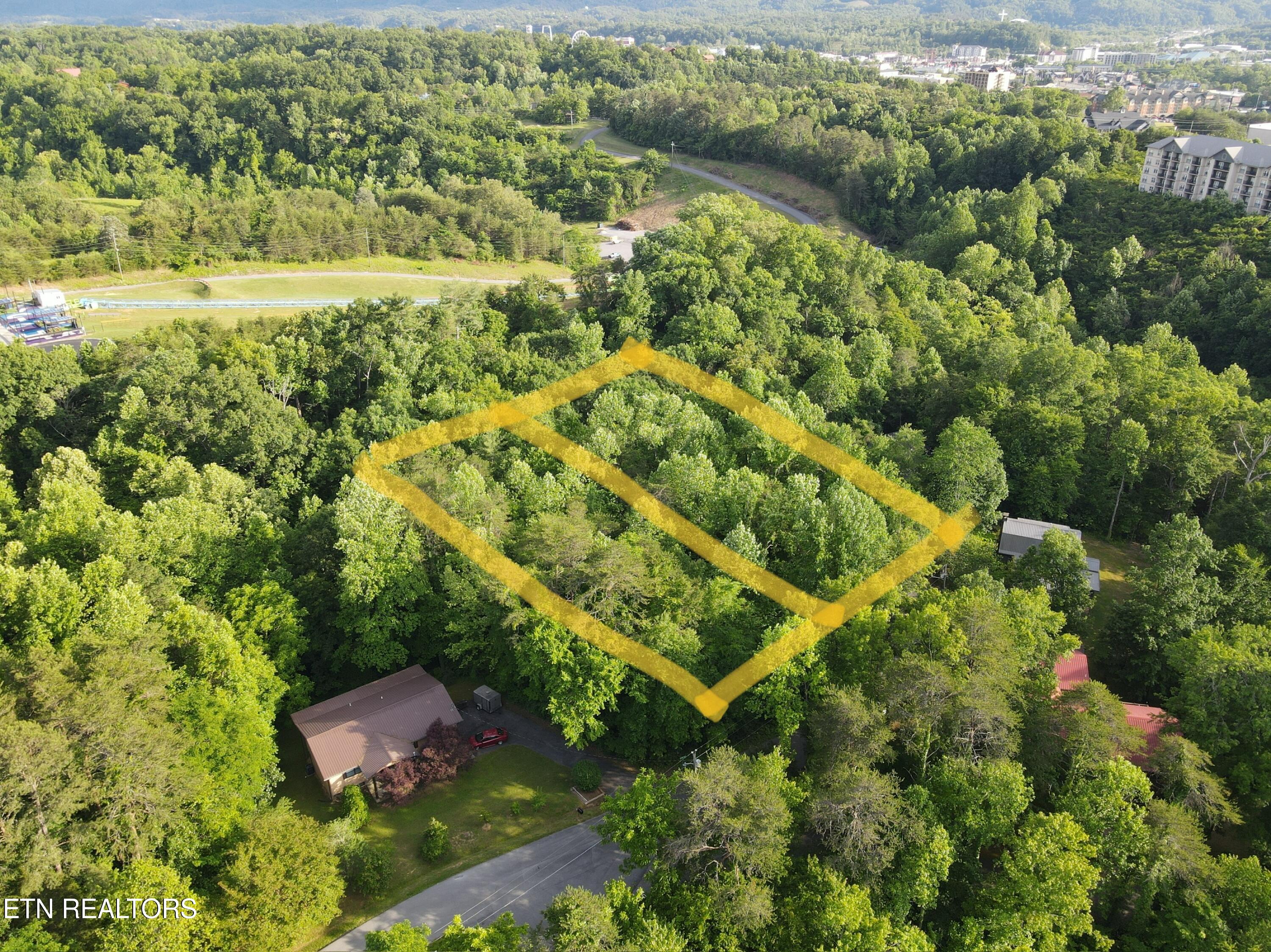 Pine Drive Property Photo 3