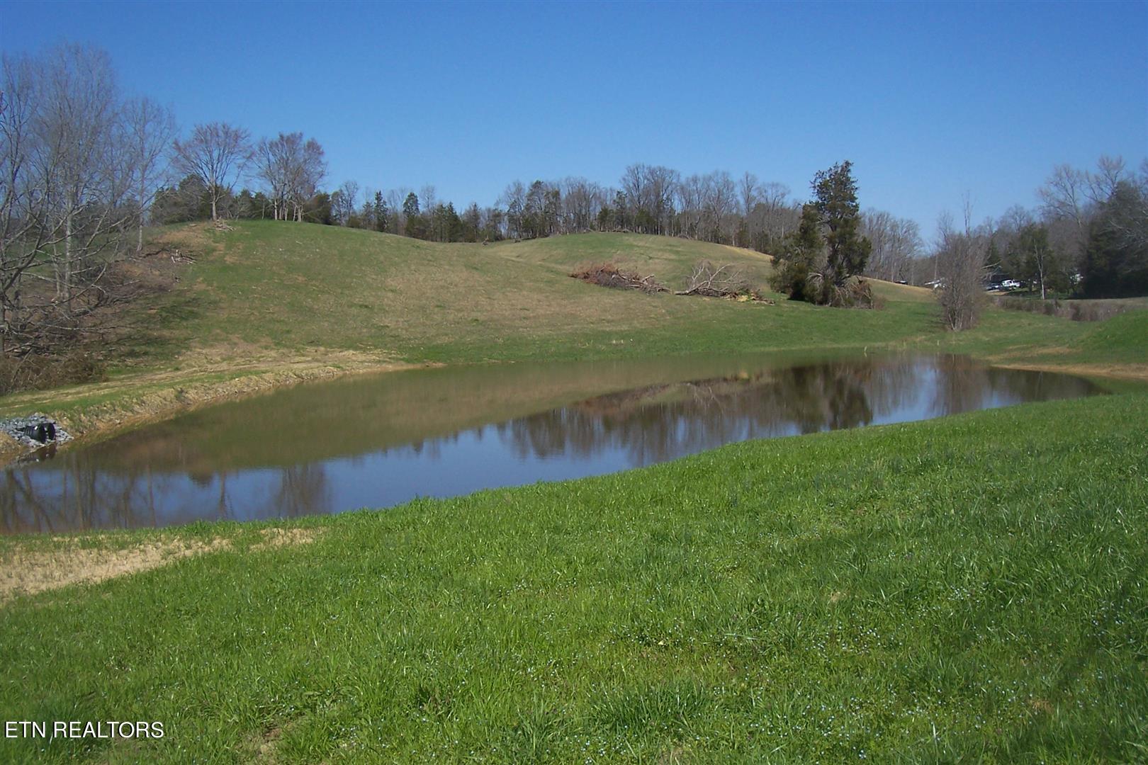 000 Flat Creek Rd Property Photo 2