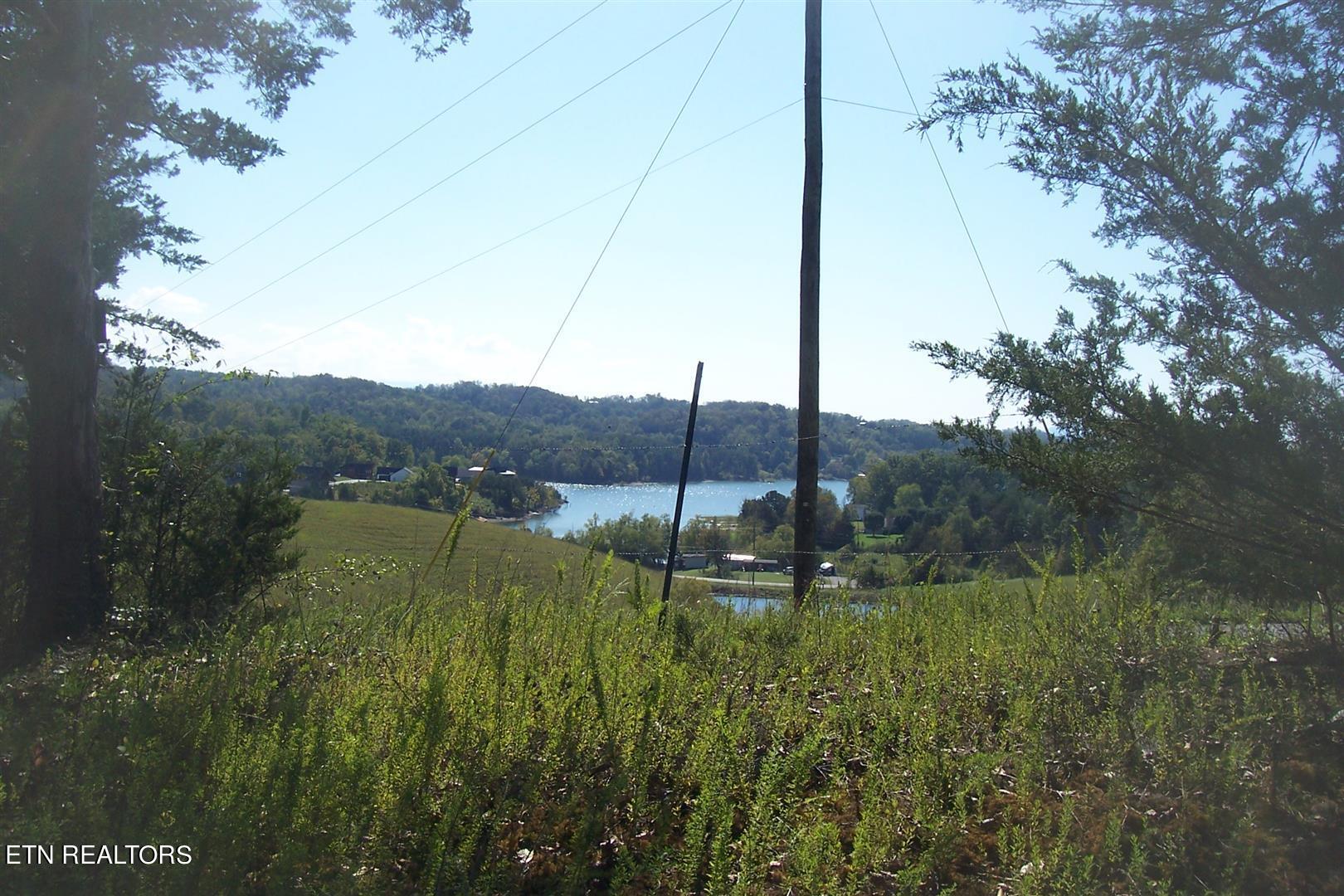 000 Flat Creek Rd Property Photo 6