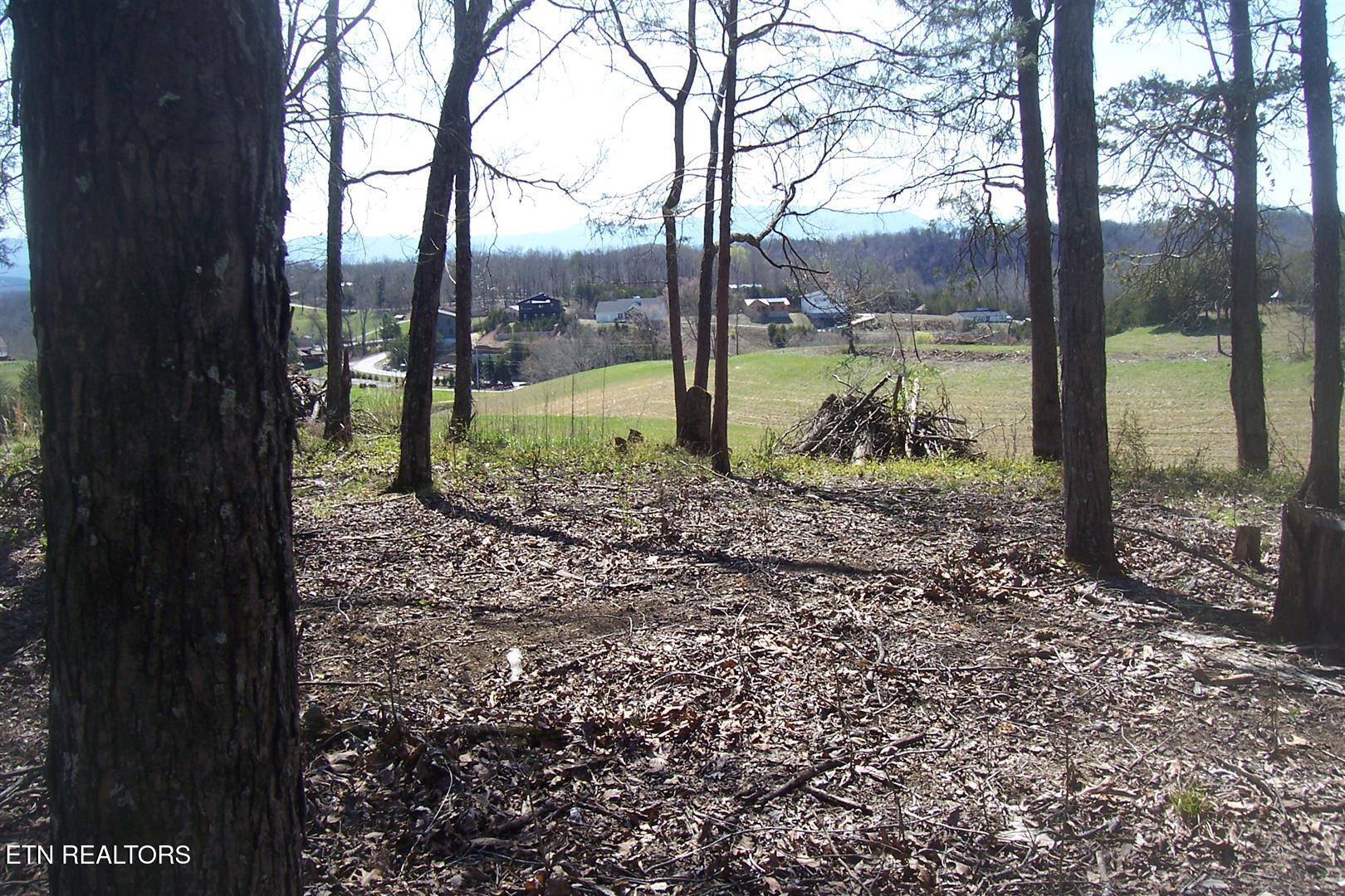 000 Flat Creek Rd Property Photo 10