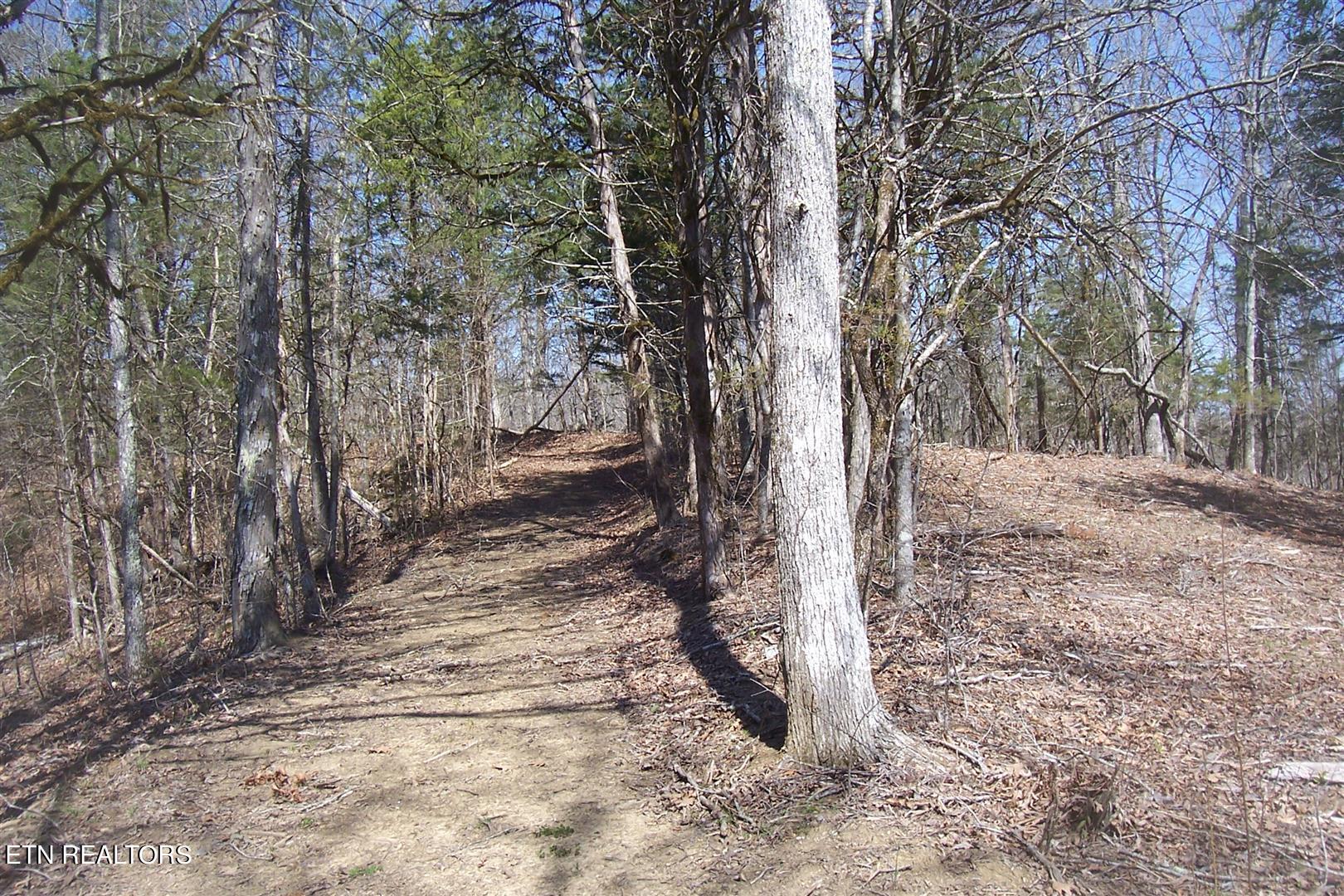000 Flat Creek Rd Property Photo 11