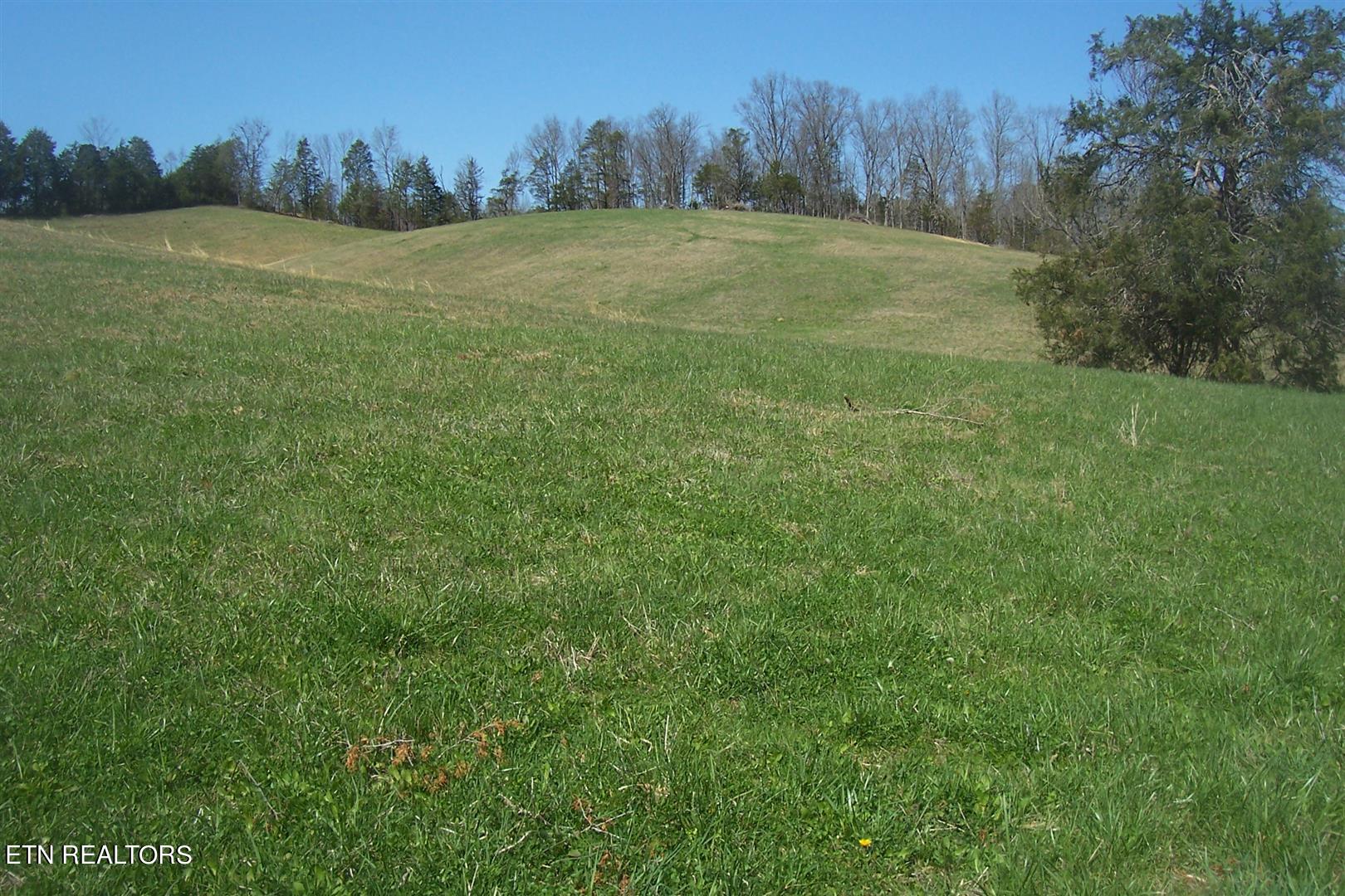 000 Flat Creek Rd Property Photo 13