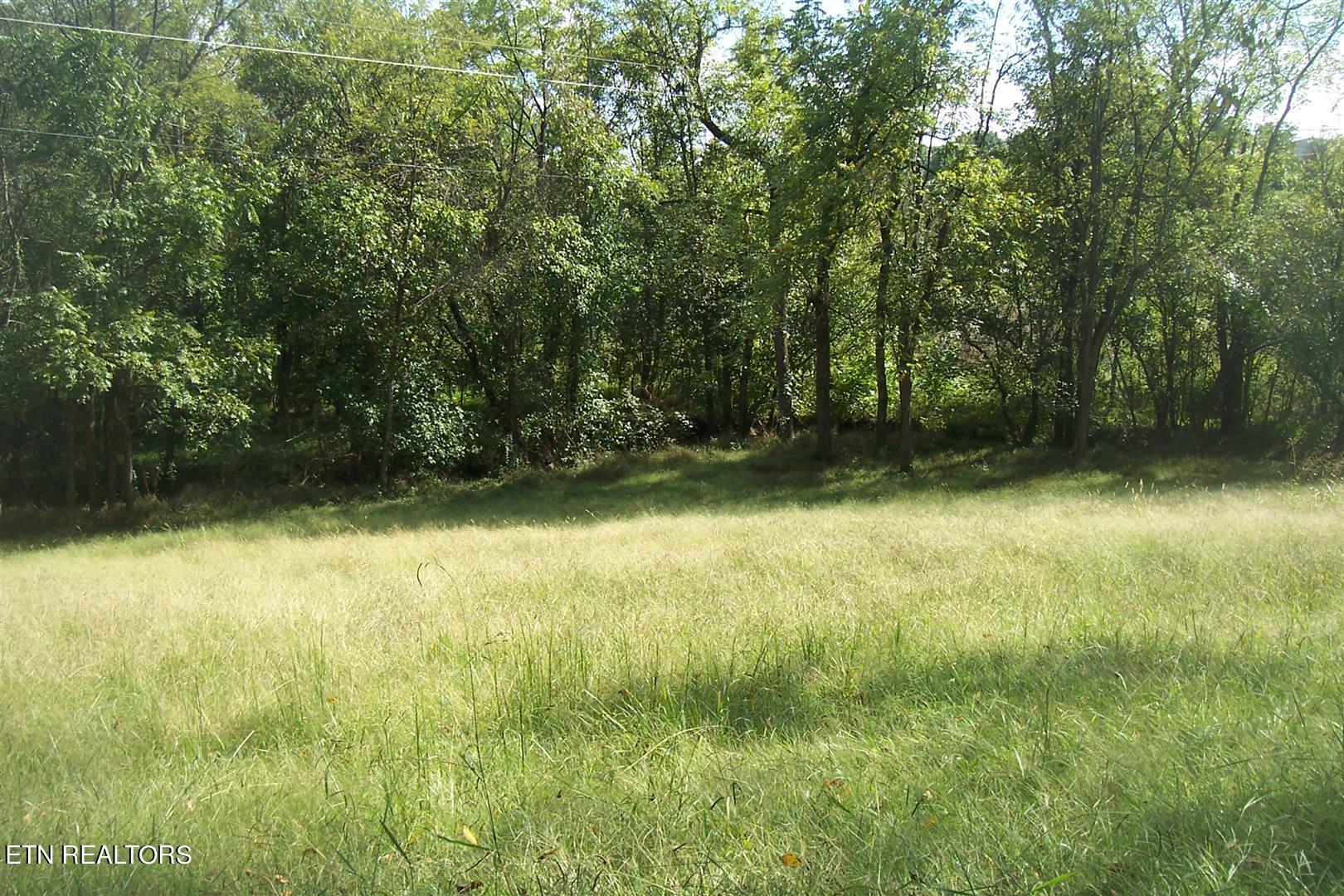 Lot 2r-1 Chapman Highway Property Photo 1