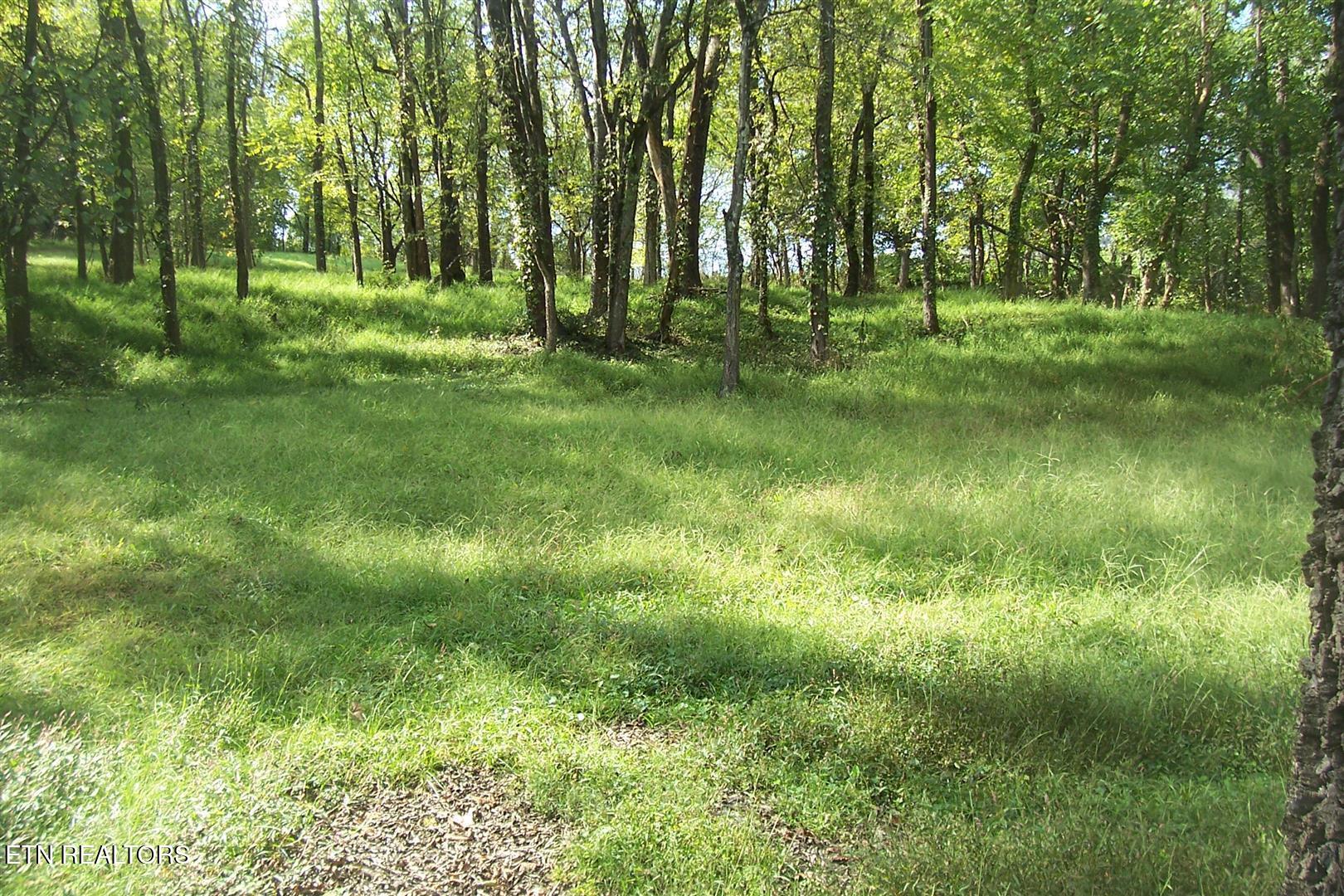 Lot 2r-1 Chapman Highway Property Photo 5