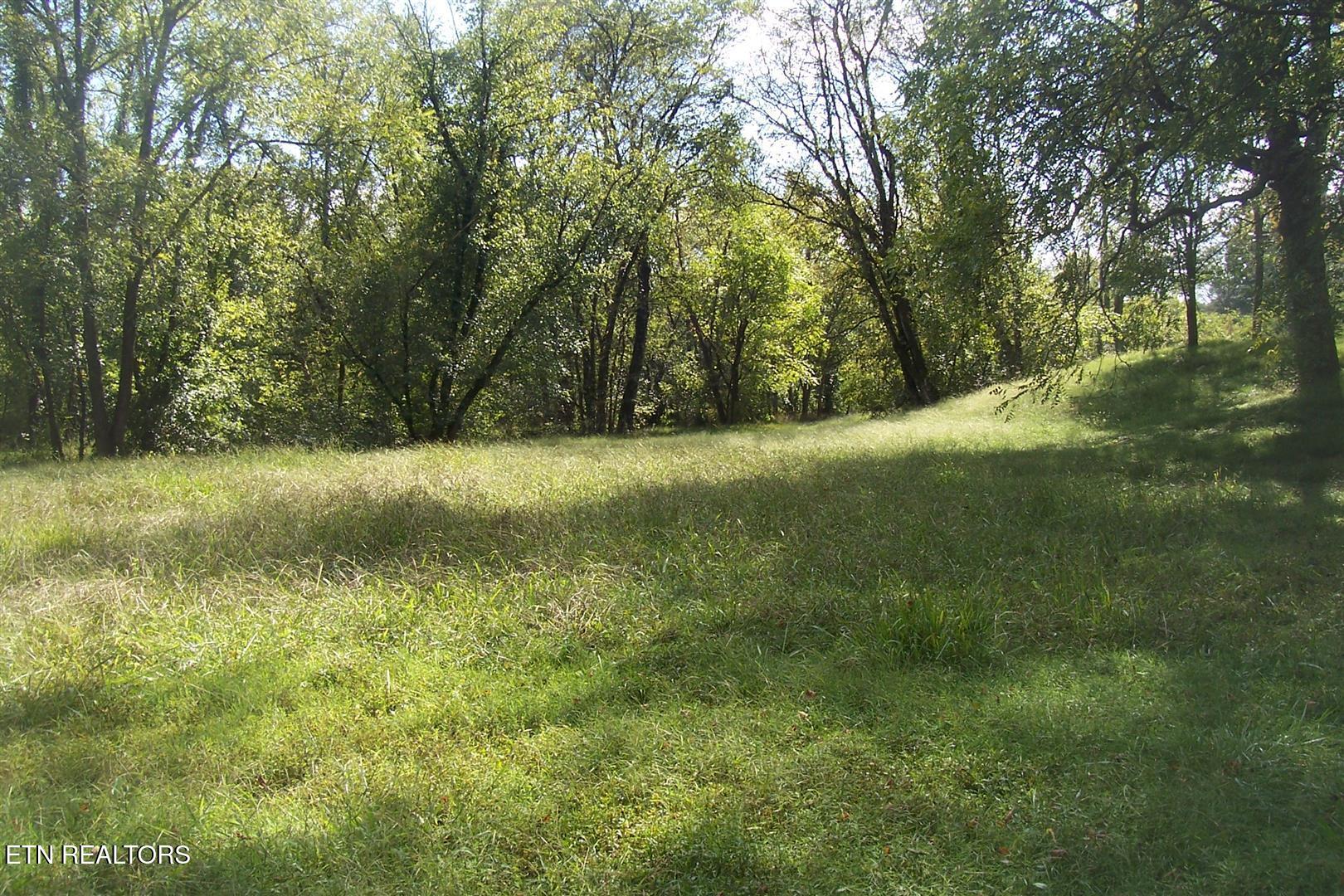 Lot 2r-1 Chapman Highway Property Photo 6