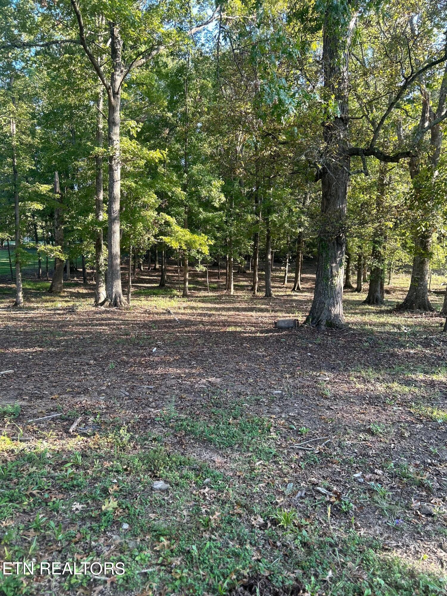 915 Tittsworth Springs Rd Property Photo 4