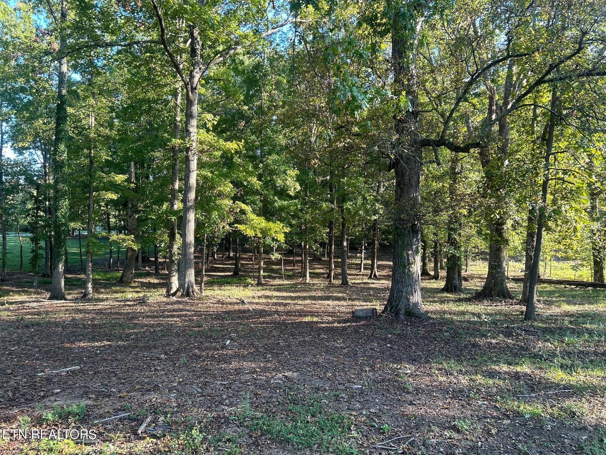 915 Tittsworth Springs Rd Property Photo 5