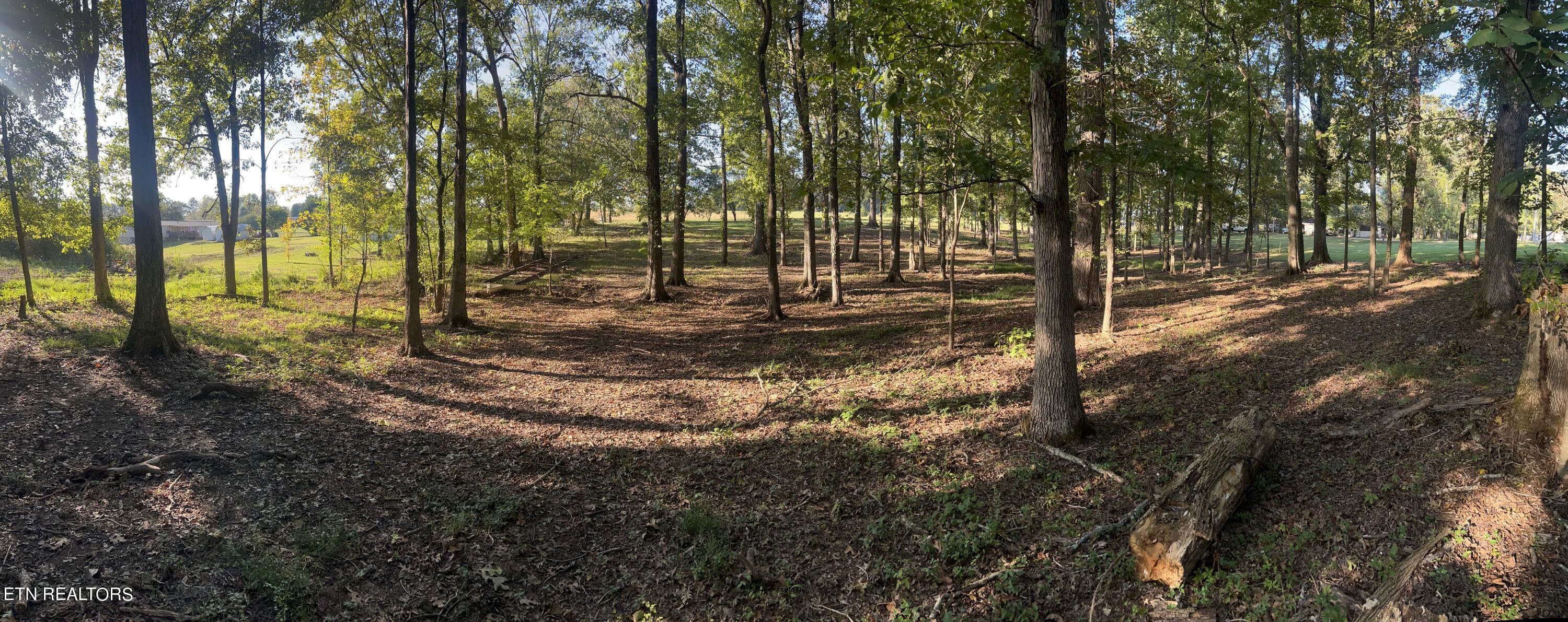 915 Tittsworth Springs Rd Property Photo 8