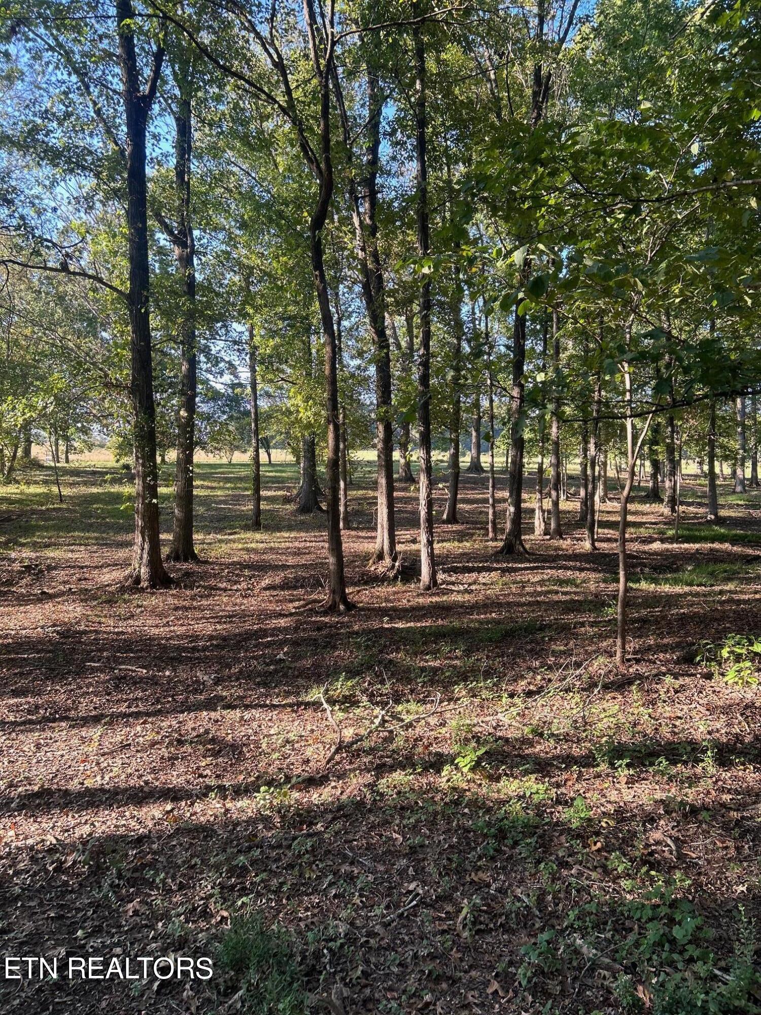 915 Tittsworth Springs Rd Property Photo 9