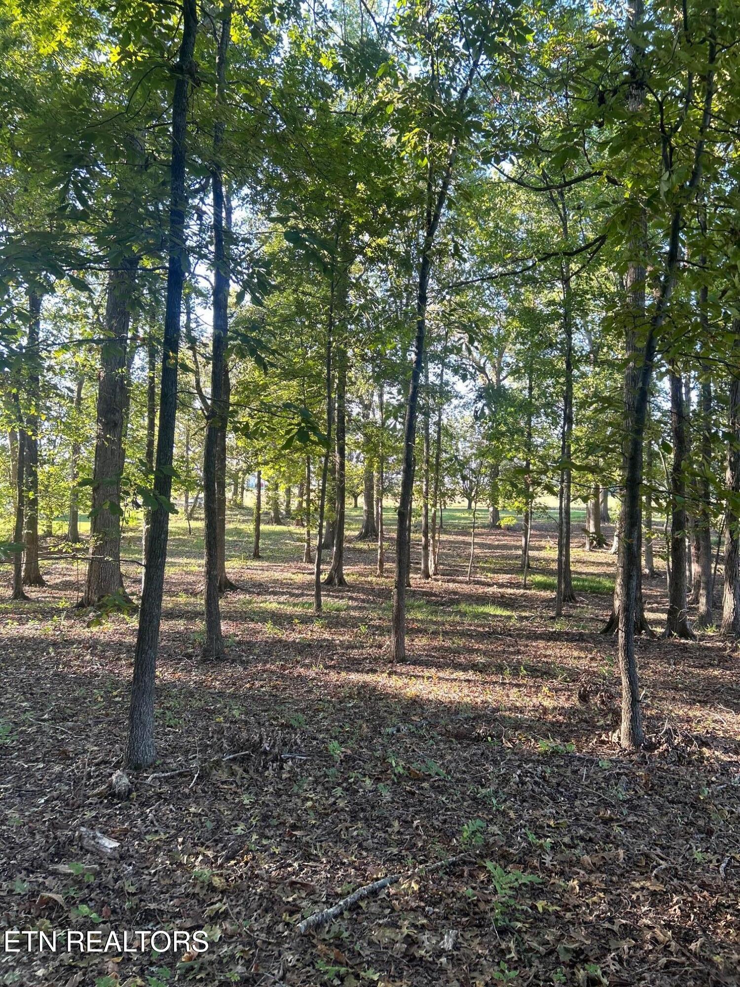 915 Tittsworth Springs Rd Property Photo 10