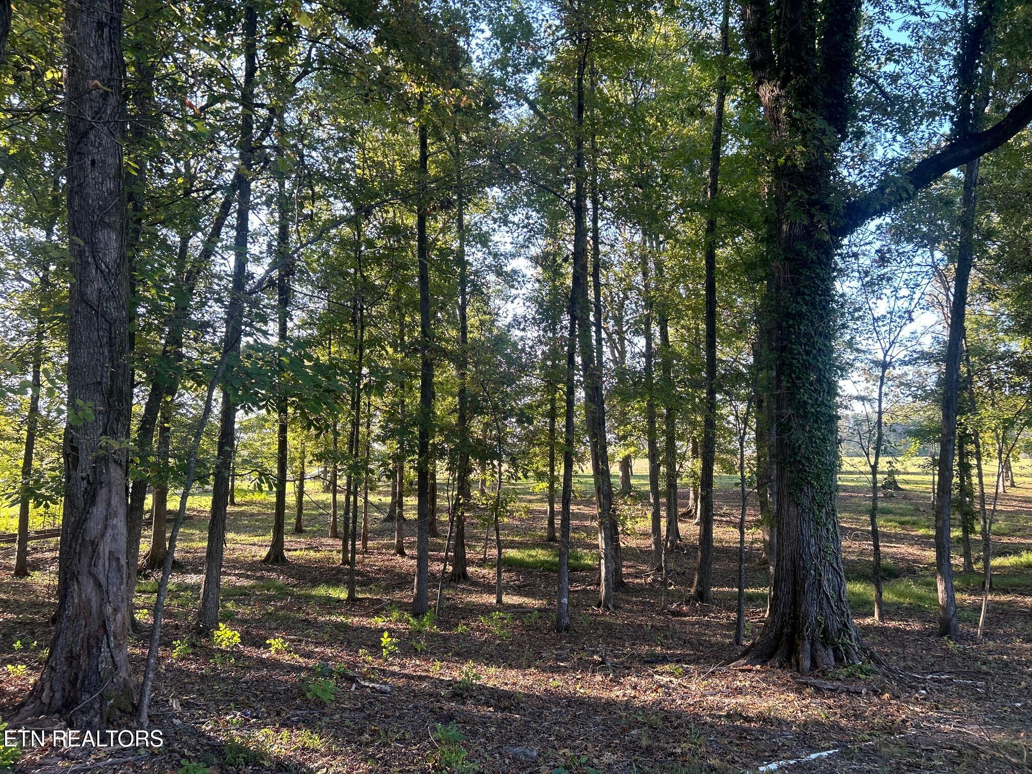915 Tittsworth Springs Rd Property Photo 11