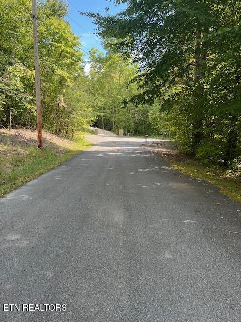 Ardell Way Property Photo 3