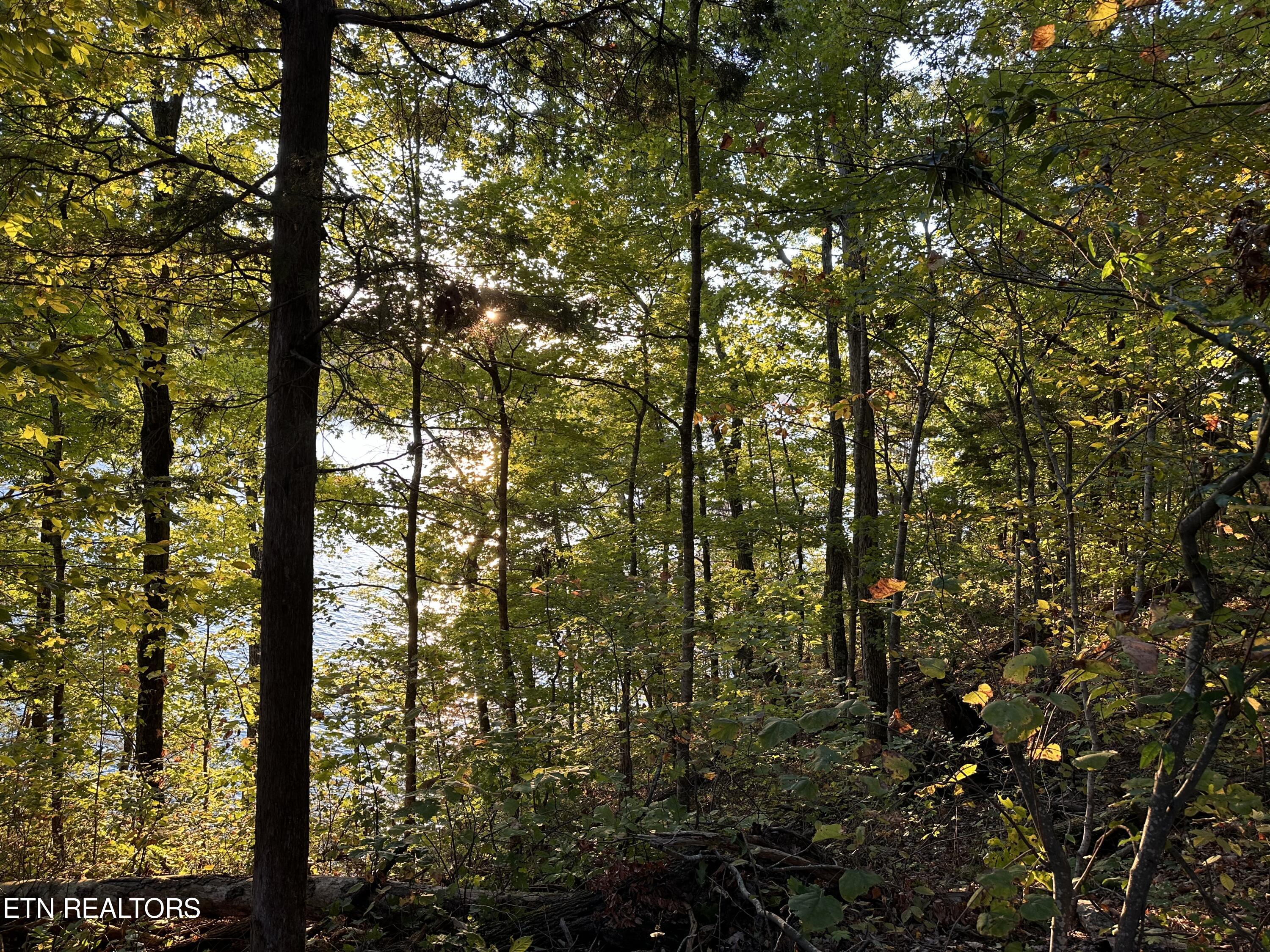 Lot 778 Russell Brothers Rd Property Photo 3