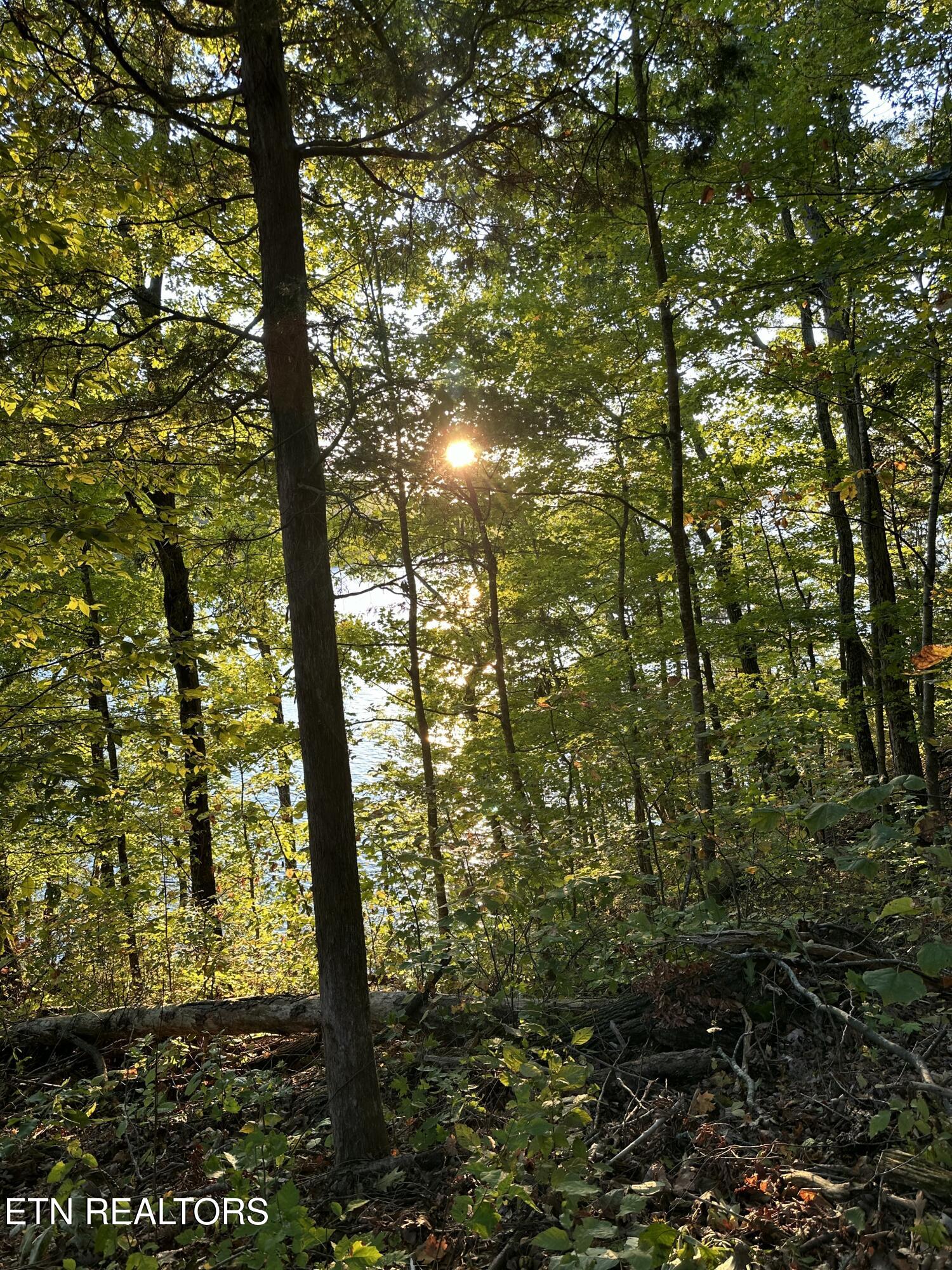Lot 778 Russell Brothers Rd Property Photo 4