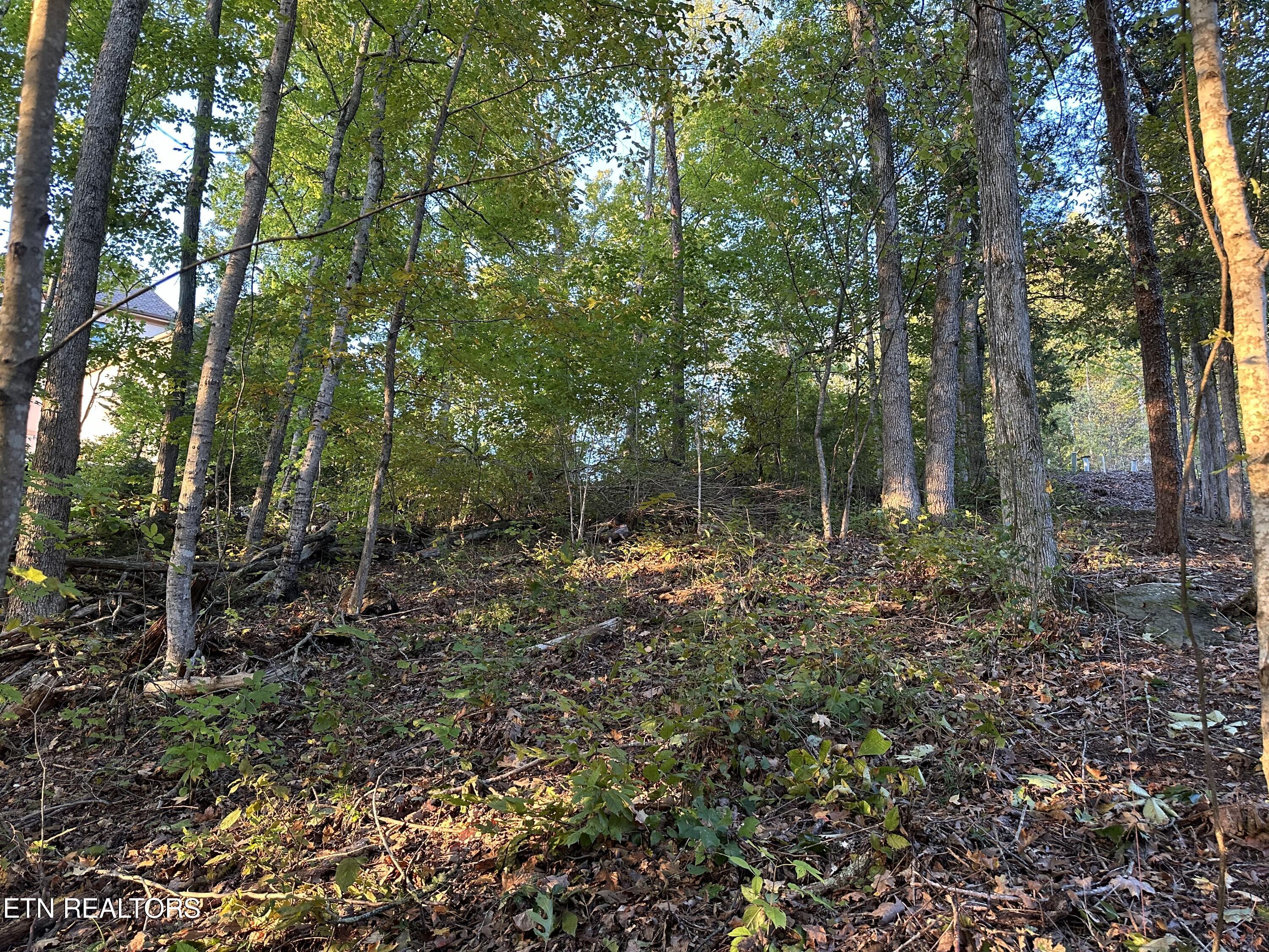 Lot 778 Russell Brothers Rd Property Photo 5