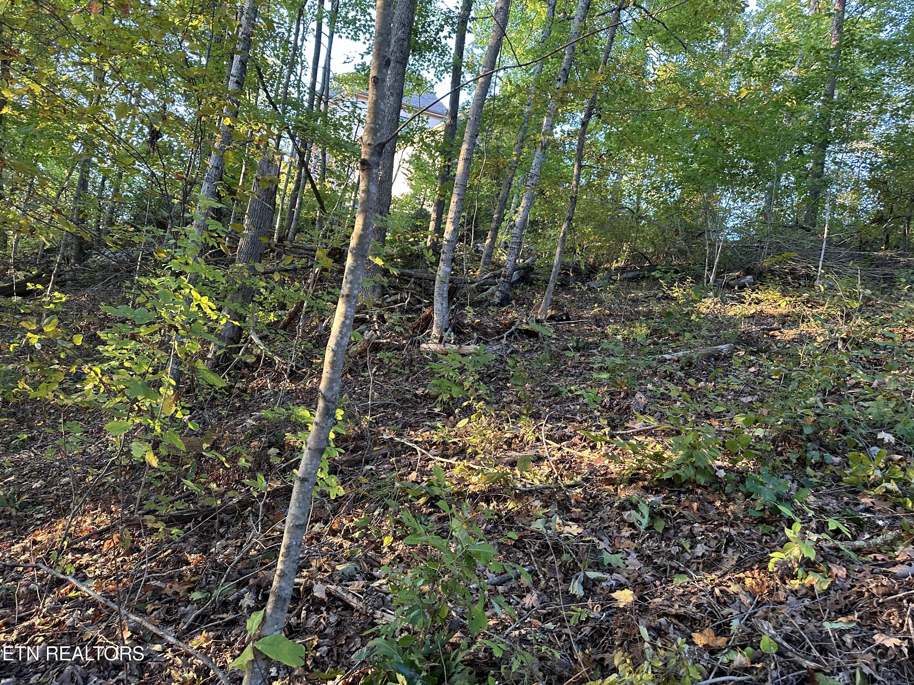Lot 778 Russell Brothers Rd Property Photo 6