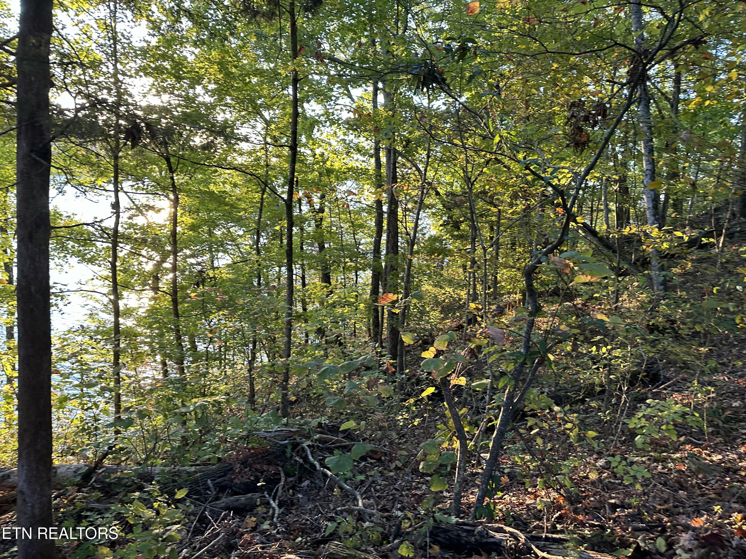 Lot 778 Russell Brothers Rd Property Photo 7