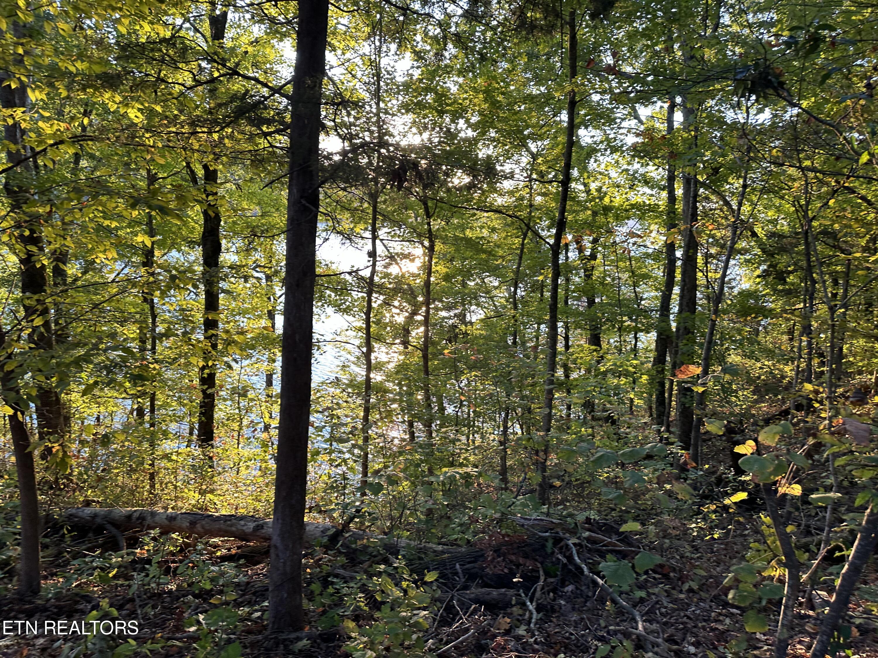 Lot 778 Russell Brothers Rd Property Photo 8