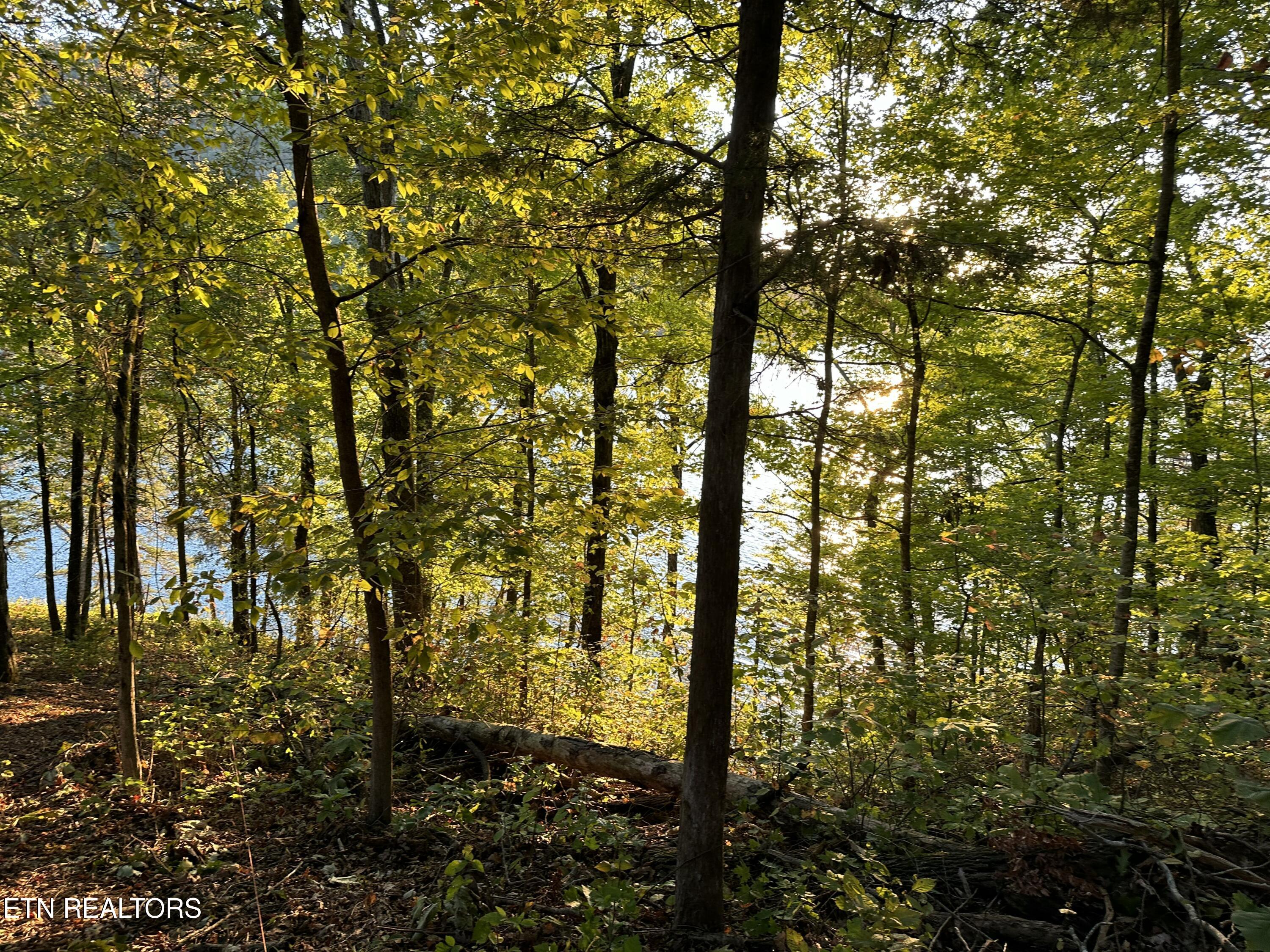 Lot 778 Russell Brothers Rd Property Photo 9