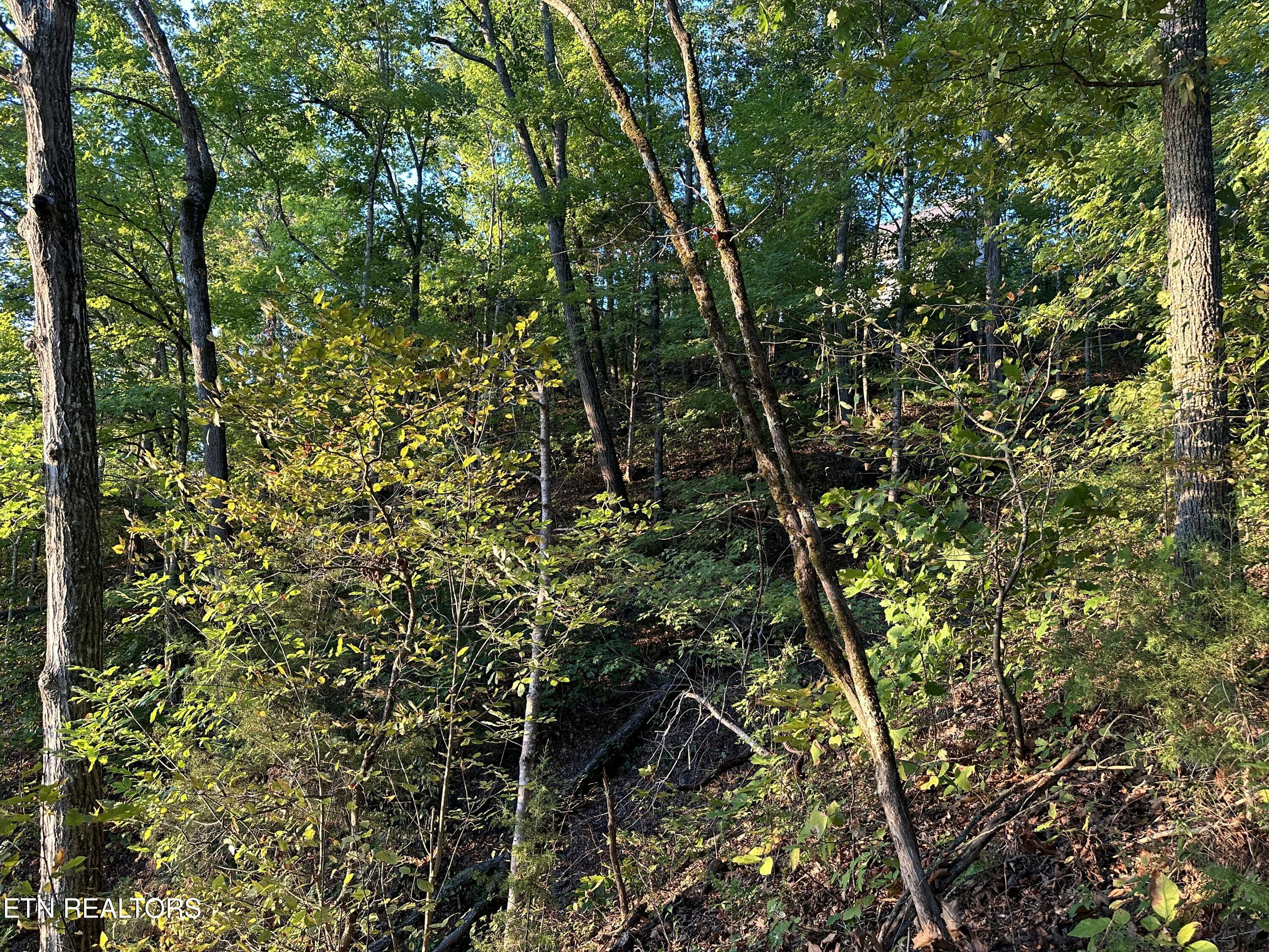 Lot 778 Russell Brothers Rd Property Photo 13