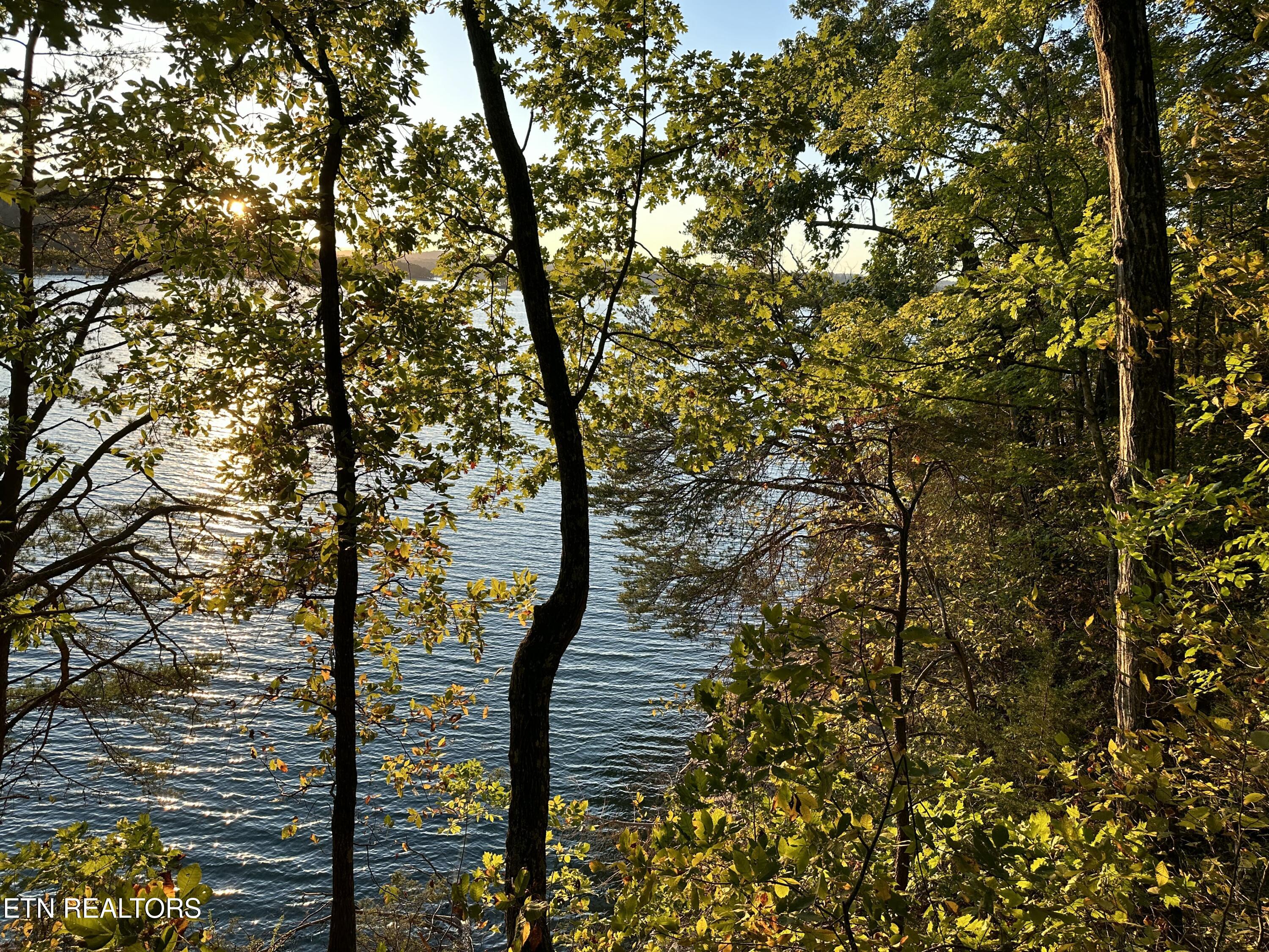 Lot 778 Russell Brothers Rd Property Photo 14