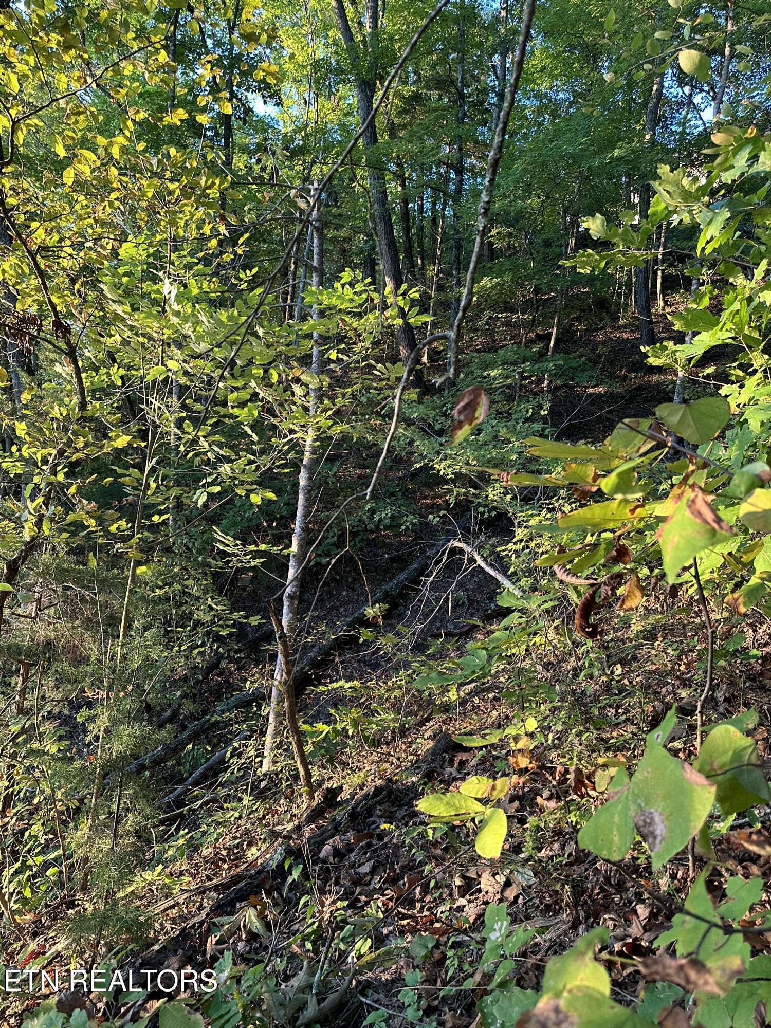 Lot 778 Russell Brothers Rd Property Photo 15