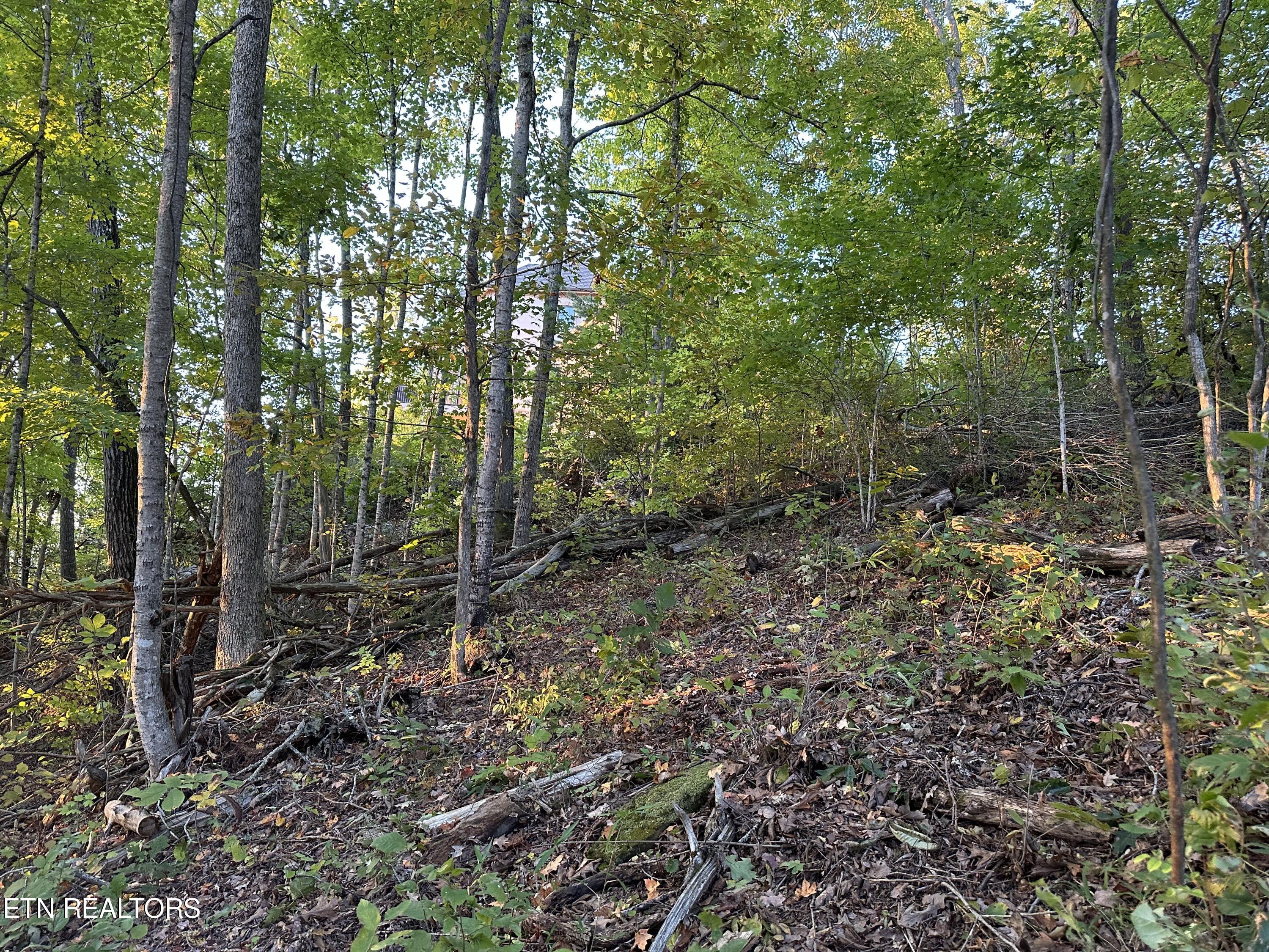 Lot 778 Russell Brothers Rd Property Photo 16