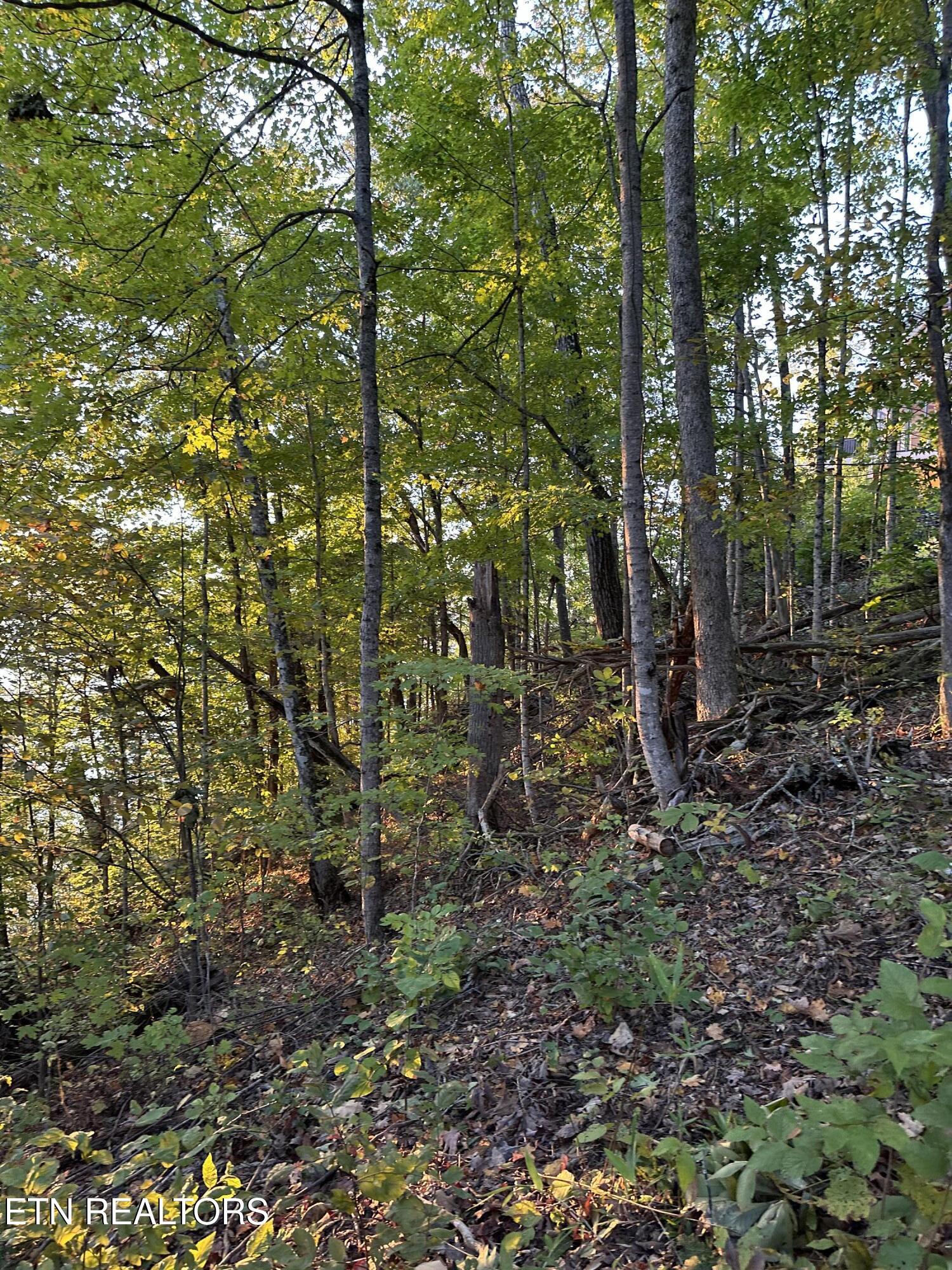 Lot 778 Russell Brothers Rd Property Photo 18
