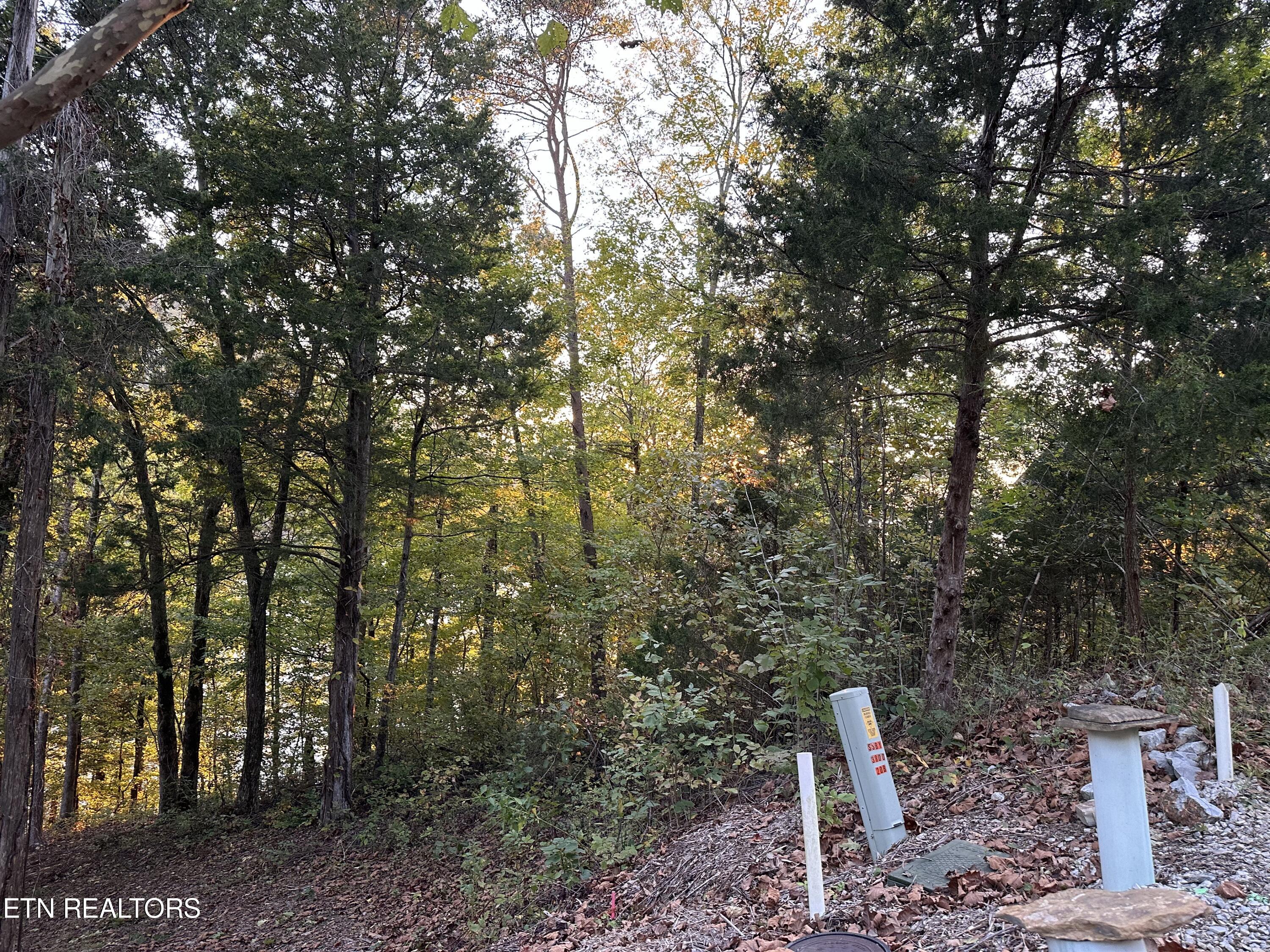 Lot 778 Russell Brothers Rd Property Photo 20