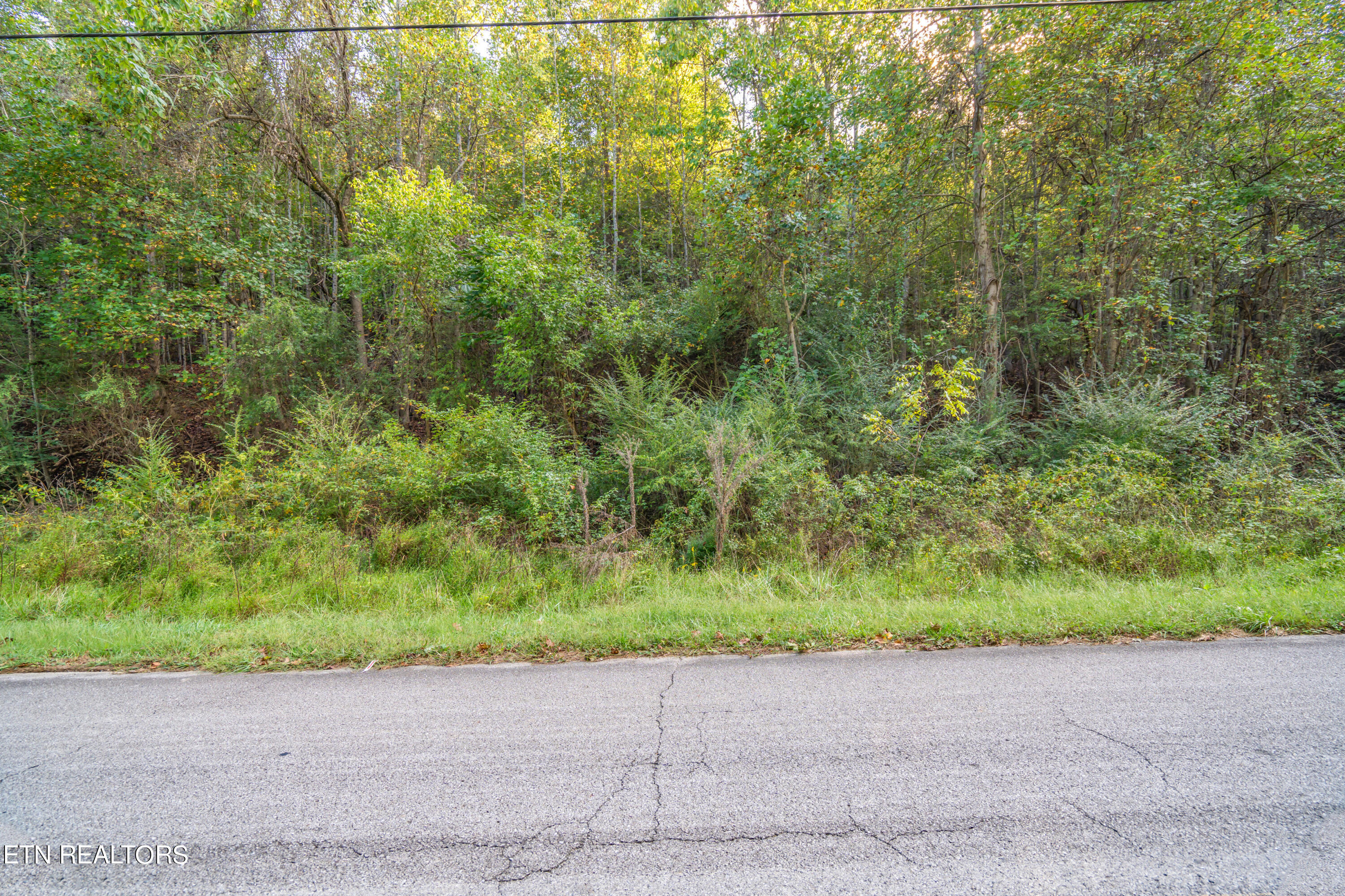 470 Clara Mae Drive Property Photo 3