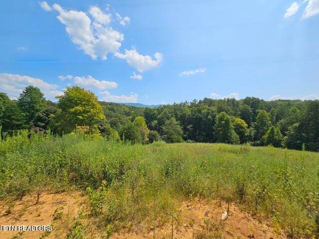 4420 6 Mile Rd Property Photo 19