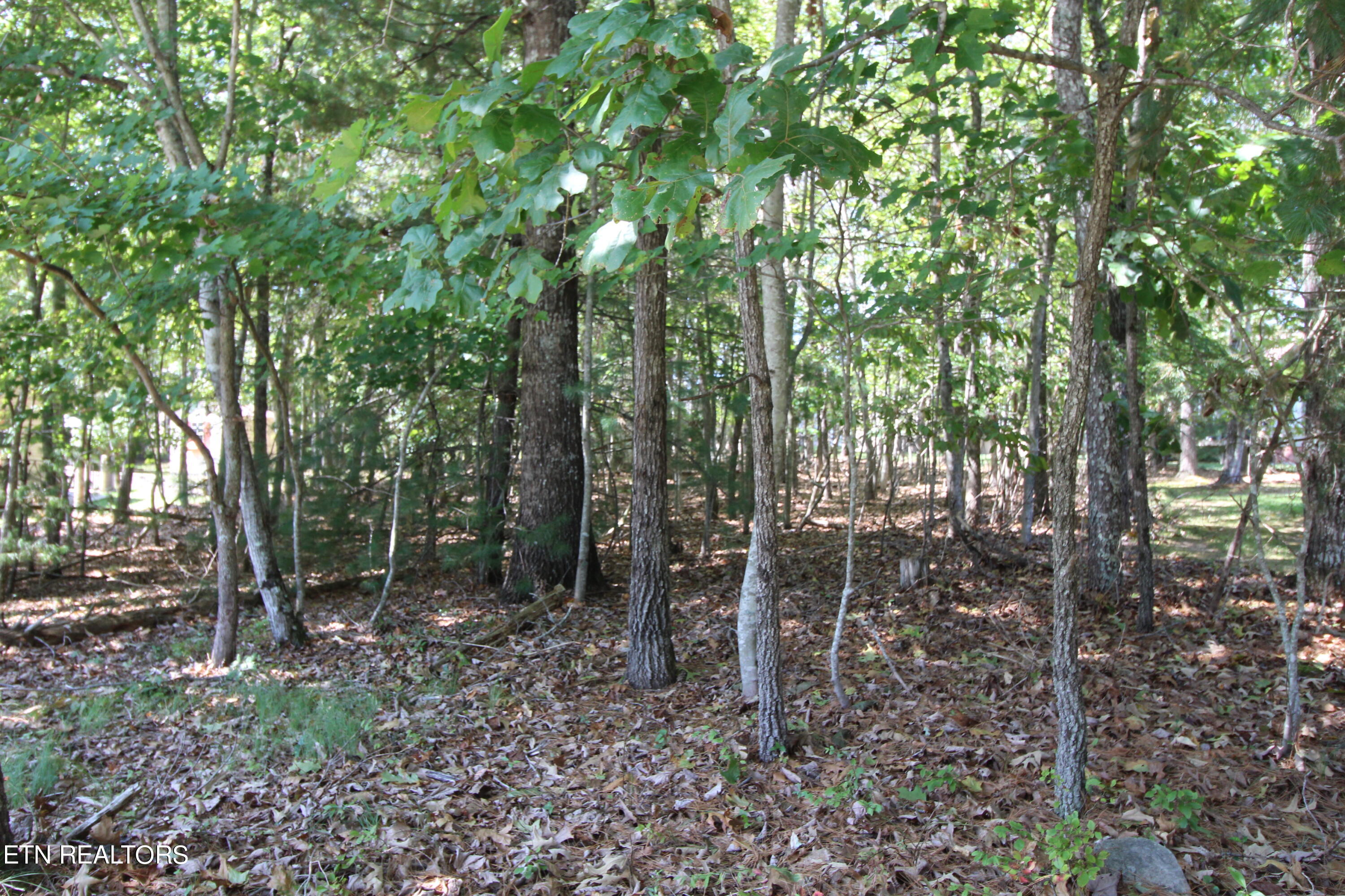 105 Wilbourn Drive Property Photo