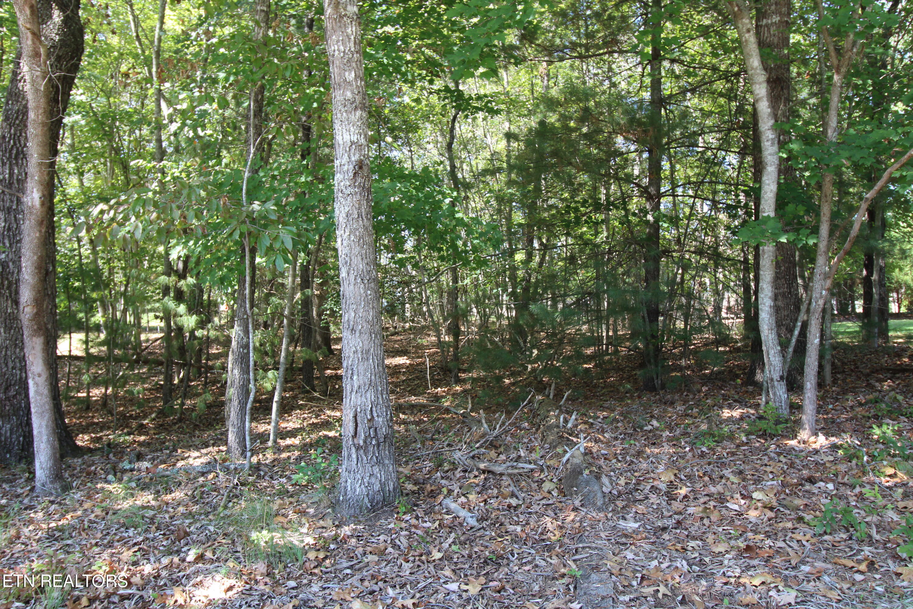 105 Wilbourn Drive Property Photo 2