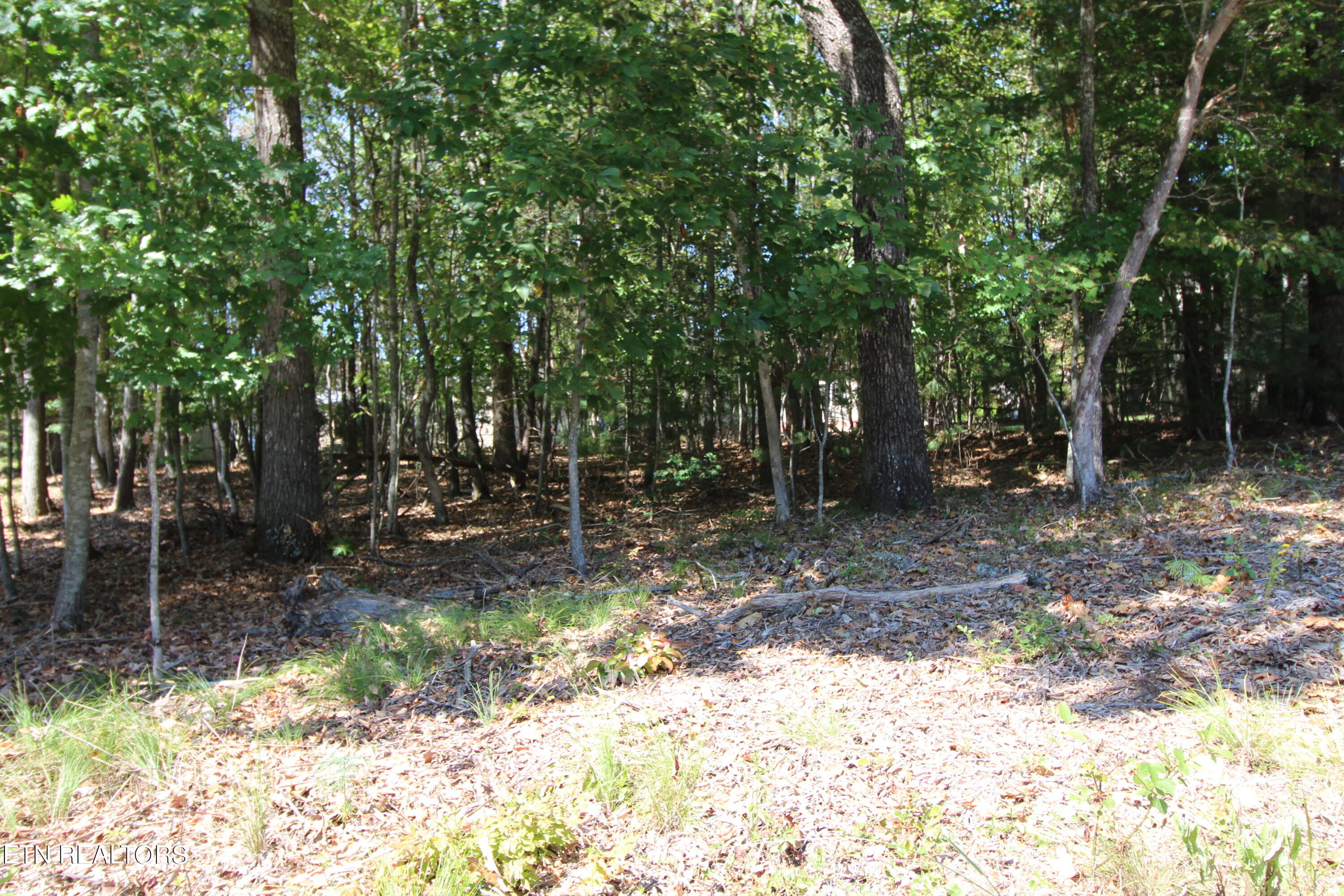 105 Wilbourn Drive Property Photo 3