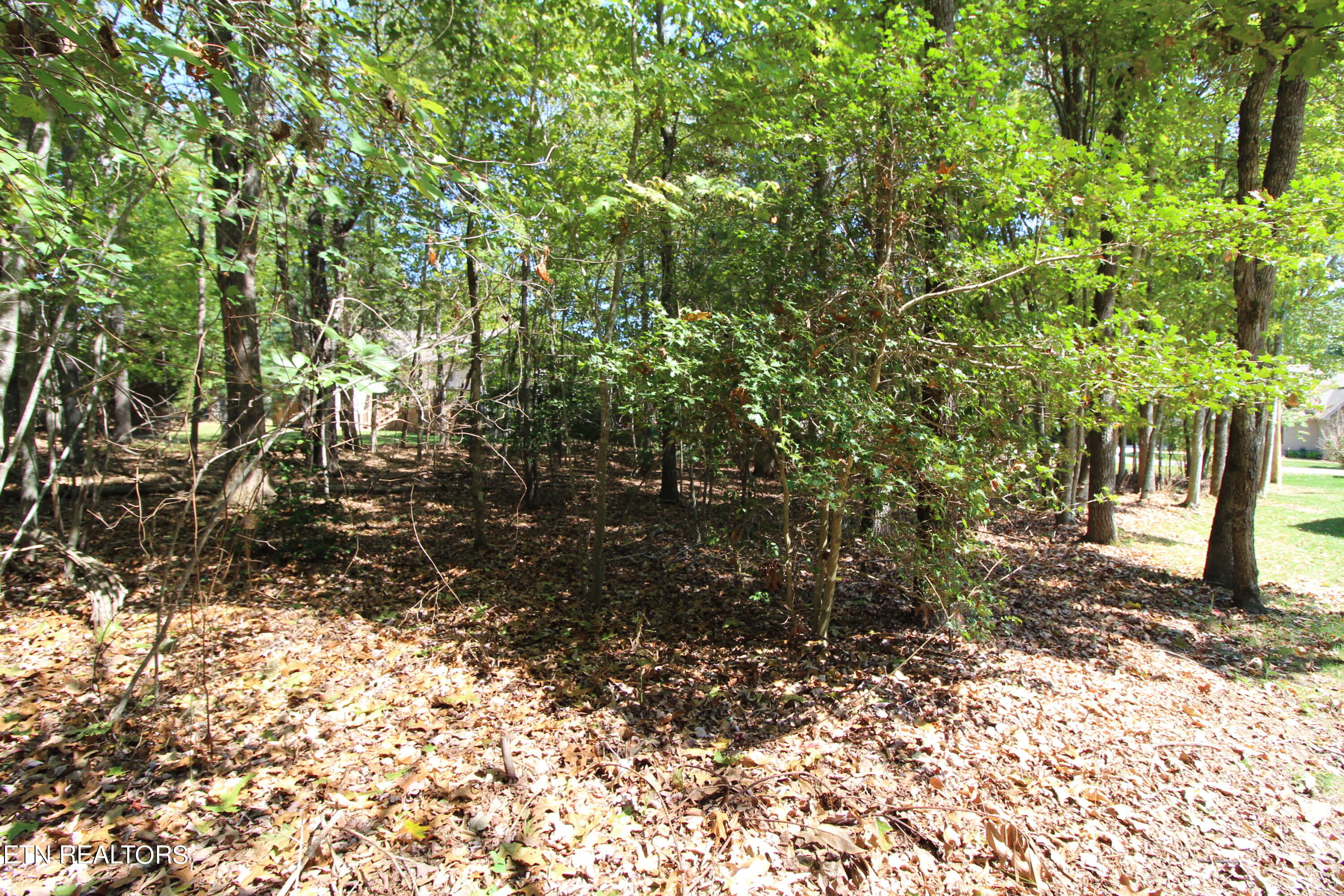 105 Wilbourn Drive Property Photo 4