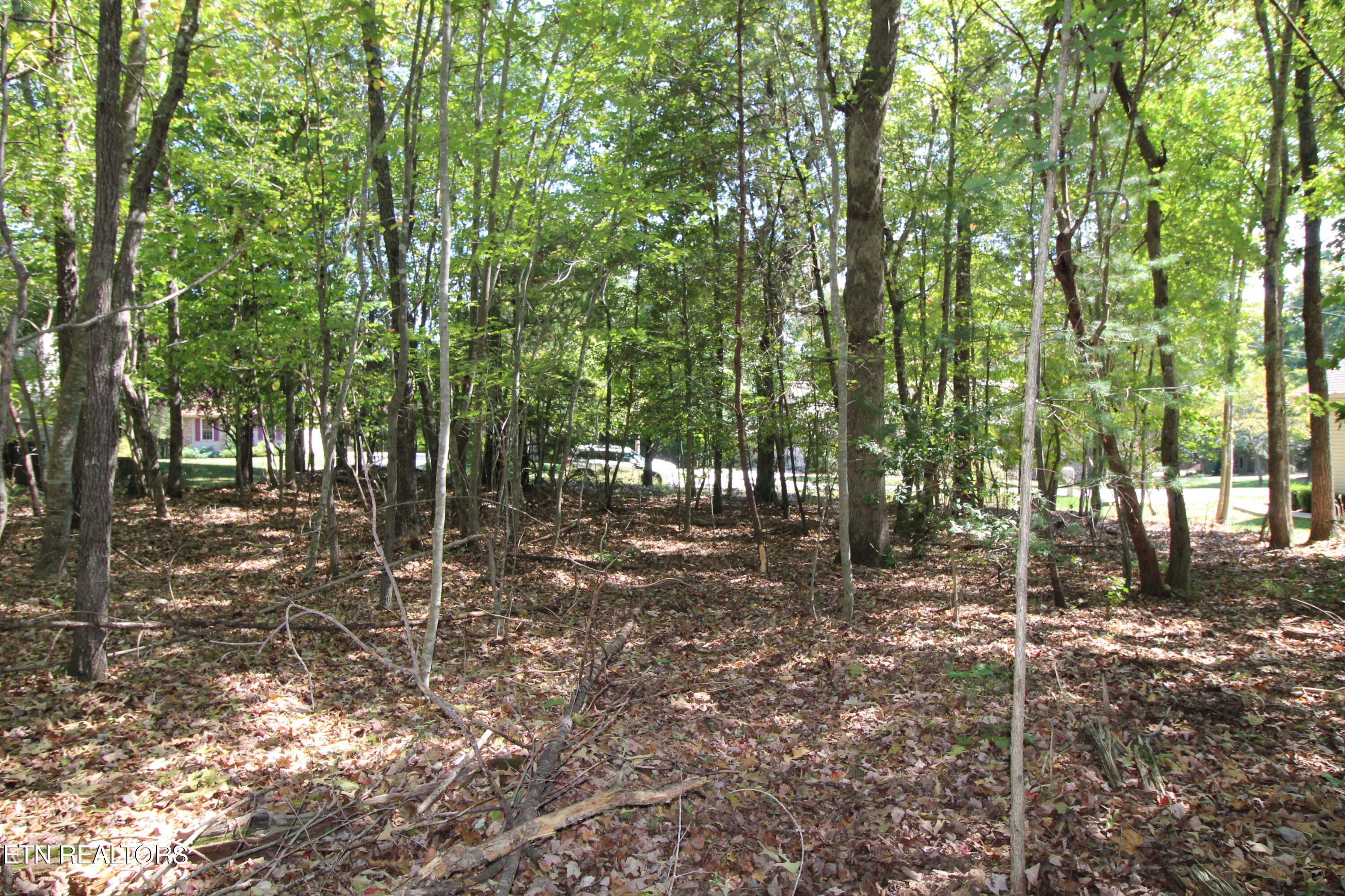 105 Wilbourn Drive Property Photo 7