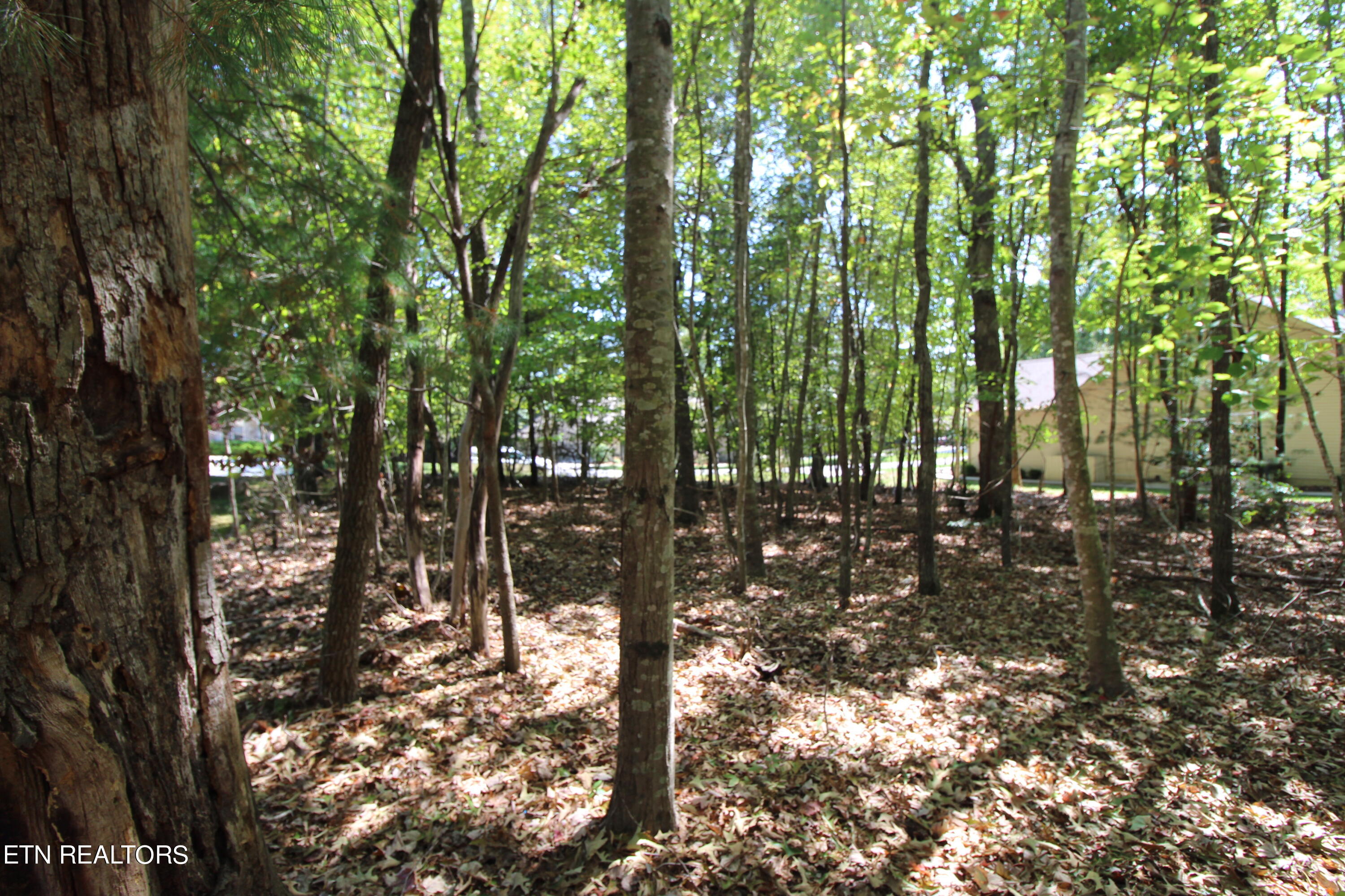 105 Wilbourn Drive Property Photo 8